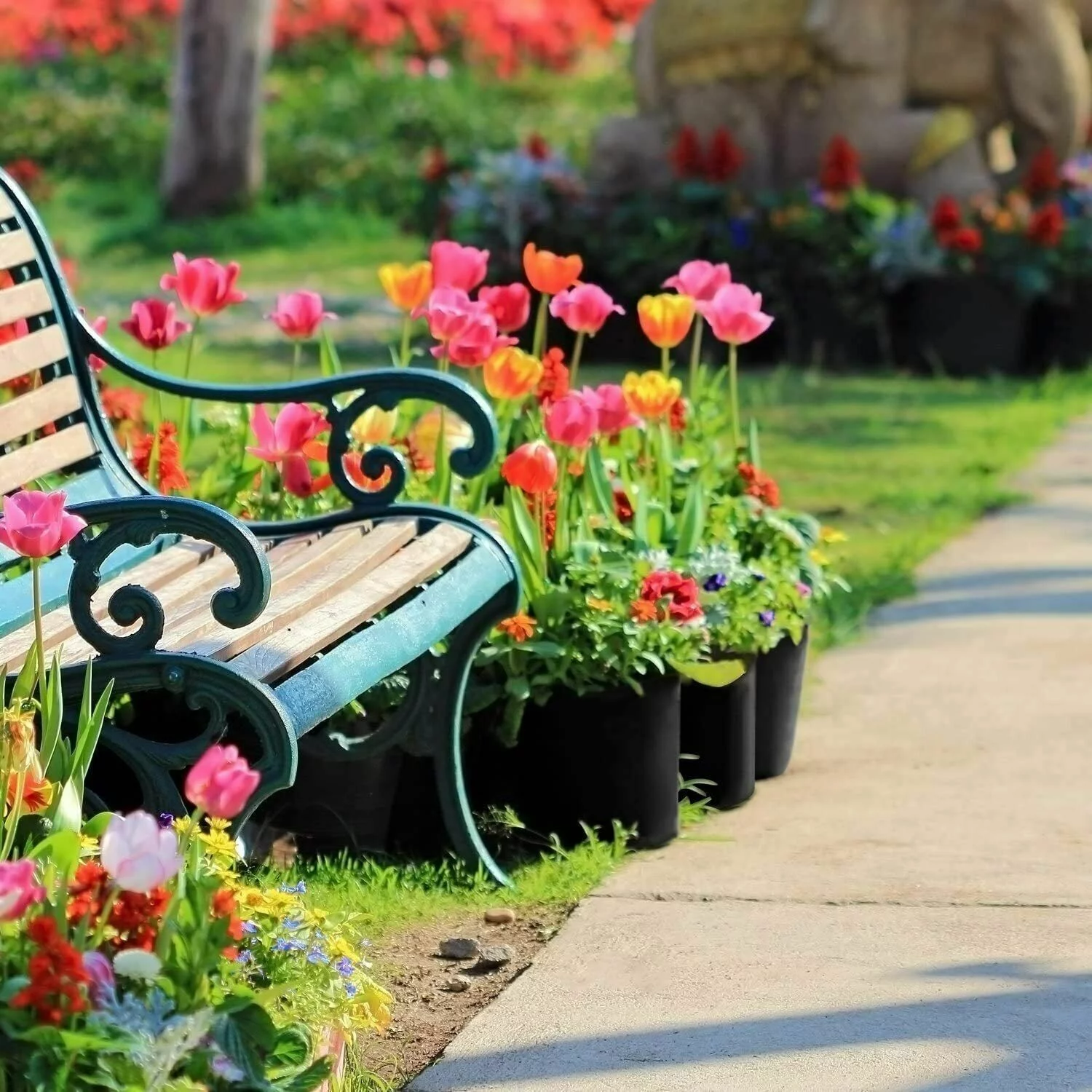 5pcs  1-30 Gallon Plant Grow Bags Thickened Nonwoven Fabric Pots Container