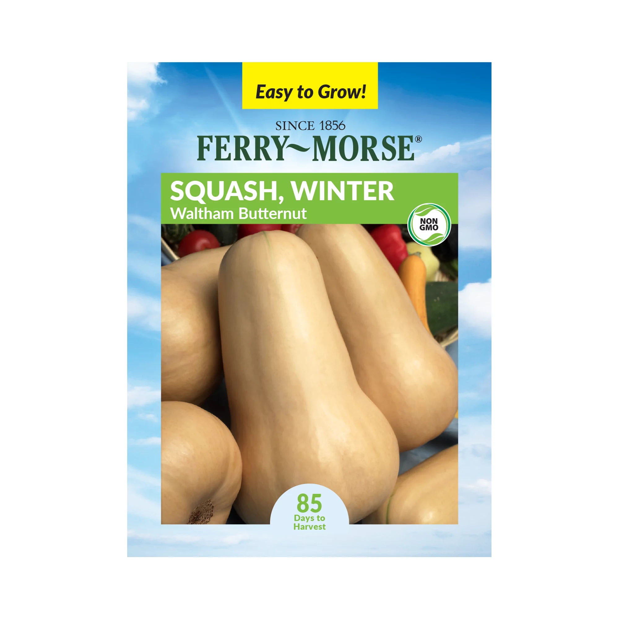 Ferry-Morse 2700MG Squash Winter Waltham Butternut Vegetable Plant Seeds Full Sun