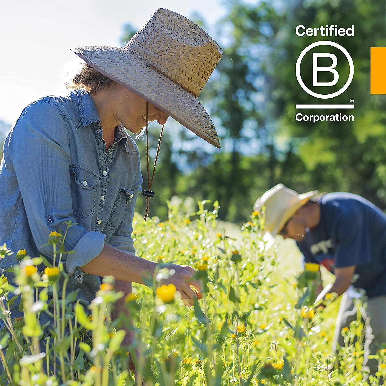 Herb Pharm Fenugreek 4 oz DFENU04 ME