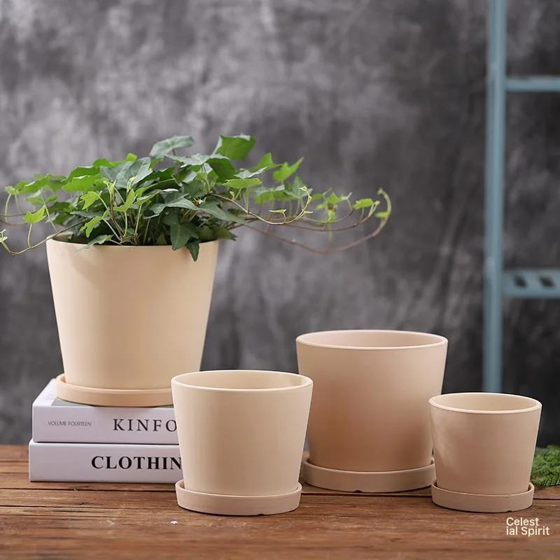 Natural Ceramic Germ Embryo Diagonal Body Flower Basin Nordic Breathable Mocha Color Ceramic Pot Poly -Fleshy Green Plantation Orchid With Tray Mocha Body 14.5Cm Ceramic