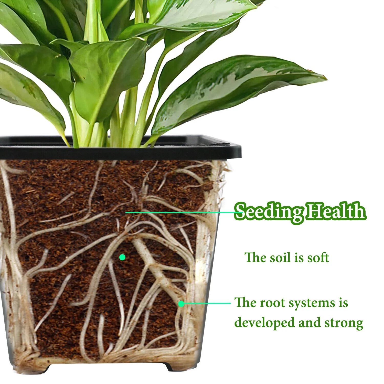 Black Square Plastic Seedling Pots Seed Pots Flower Pots Transplant Pot Home US