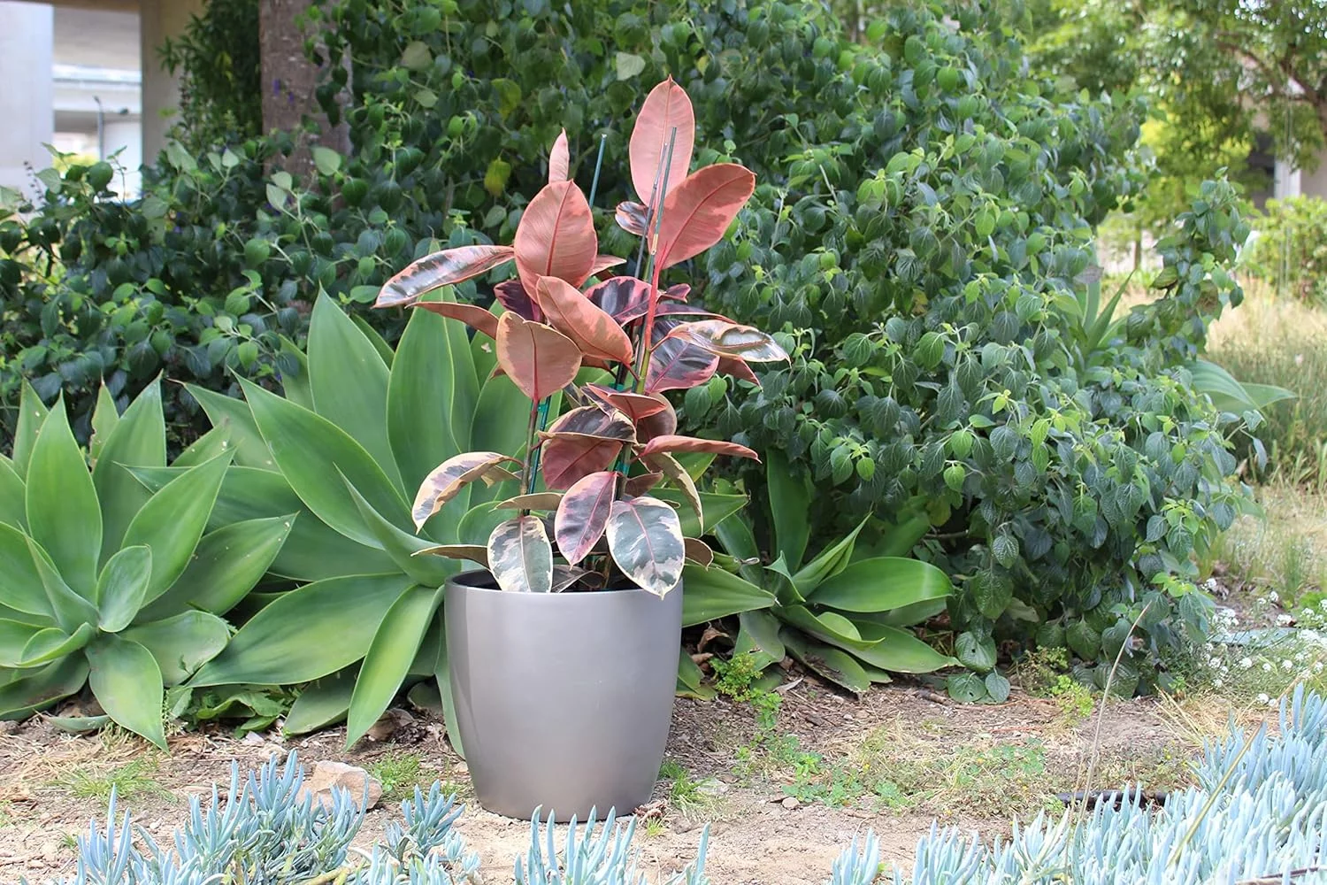 Napa Round Cylinder Fiberglass Planter, Grey, 13.5 Inch