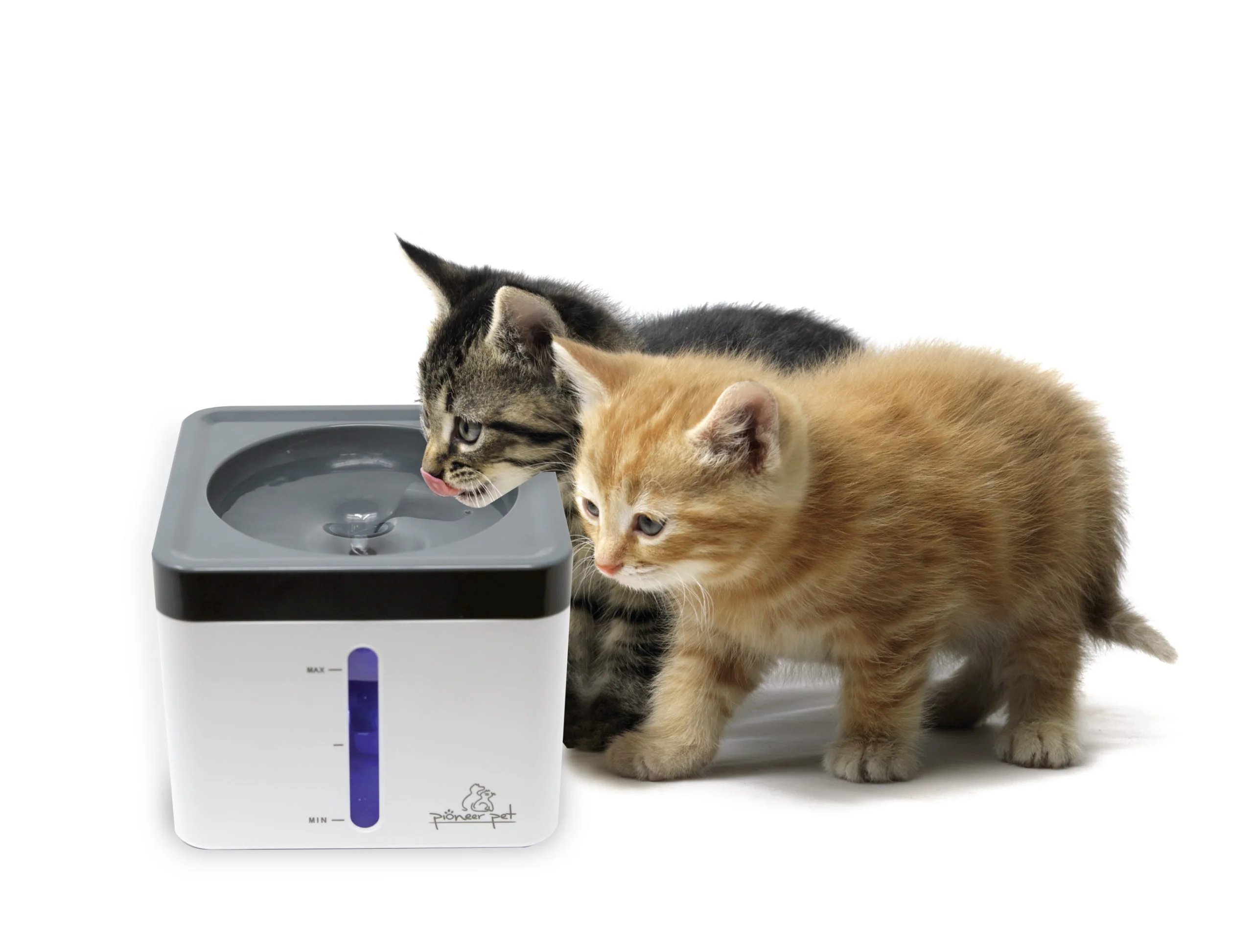 Mini Vortex Pet Drinking Fountain 80oz Capacity