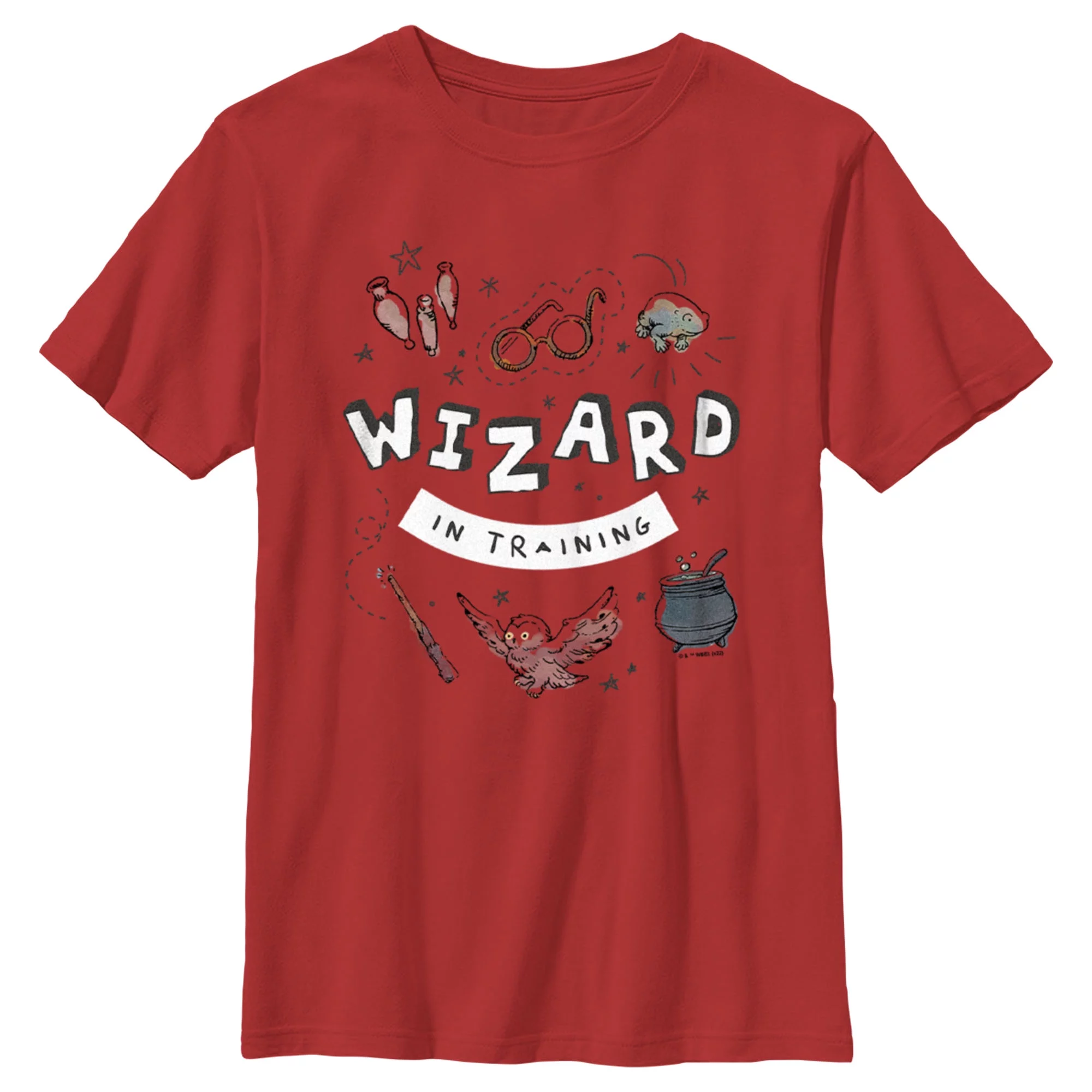 Boy's Harry Potter Wizard Training  Graphic Tee Red Large