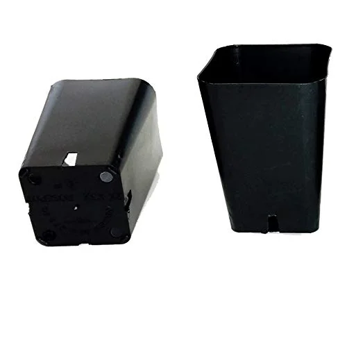 30 Seed Starting - 2 1/4