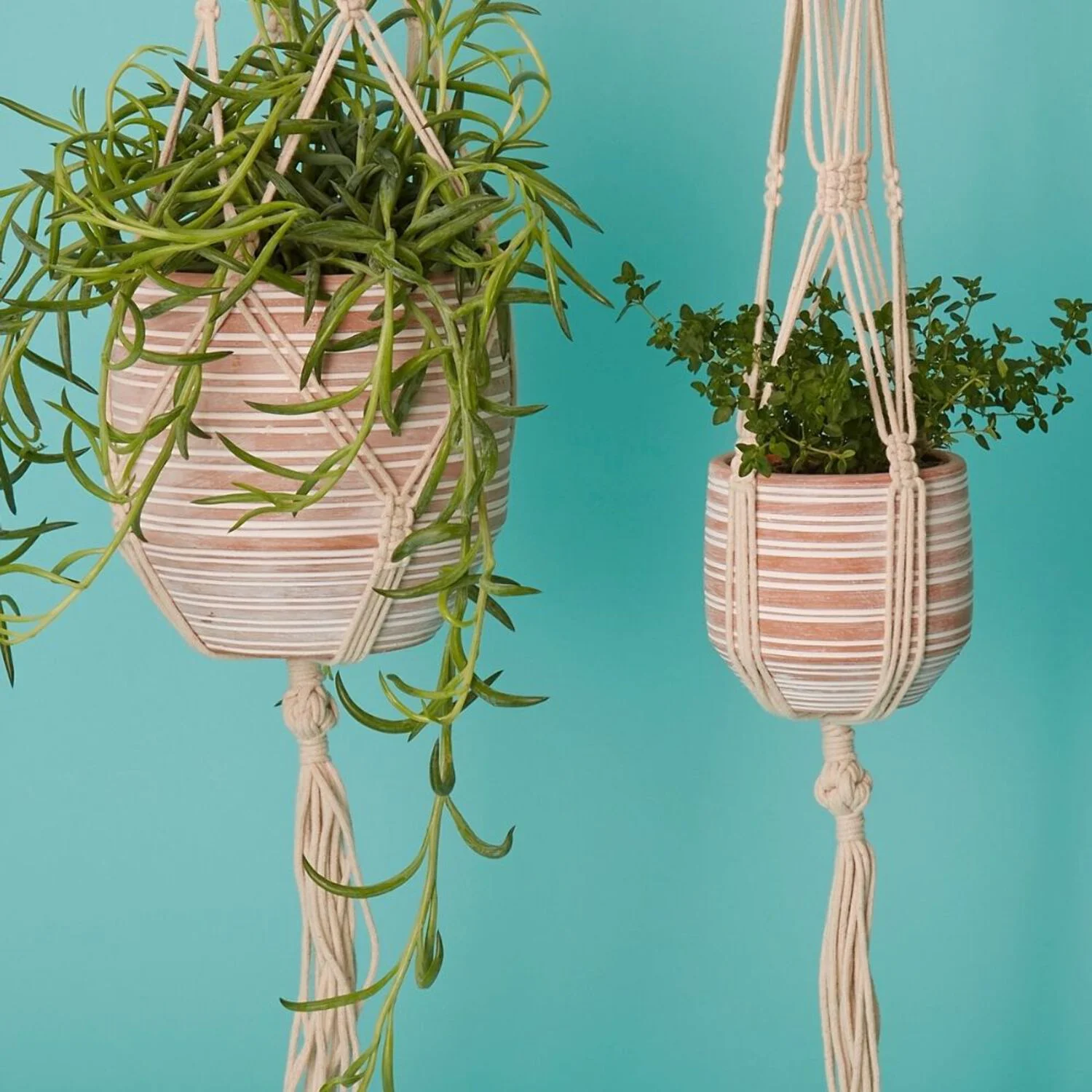 Striped Macrame Terracotta Hanging Pot Set