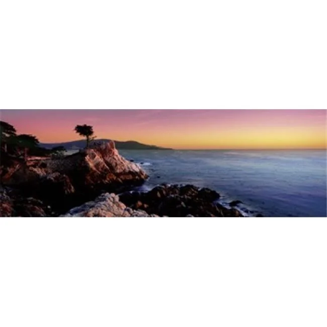 Panoramic Images  Silhouette of Lone Cypress Tree at a coast  17-Mile Drive  Carmel  Monterey County  California  USA Poster Print by Panoramic Images - 36 x 12