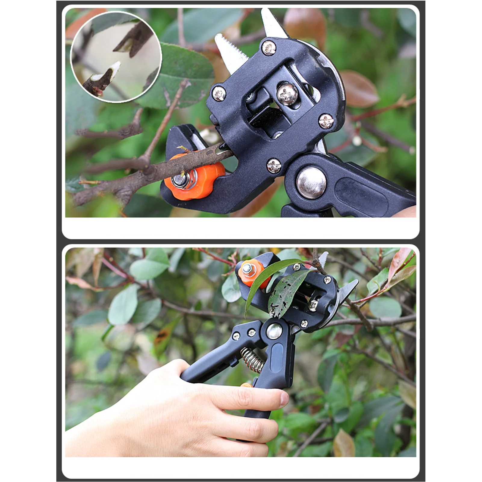 Carevas Grafting Shears,Kit Fruit Shears Pruner Kit Fruit 2 In 1 Professional In 1 Scissors Fruit Shears 2 Shears 2 In Kit Set With Tools Pruner Kit Tool Kit Set Scissors Tool Kit 1 Scissors Tool