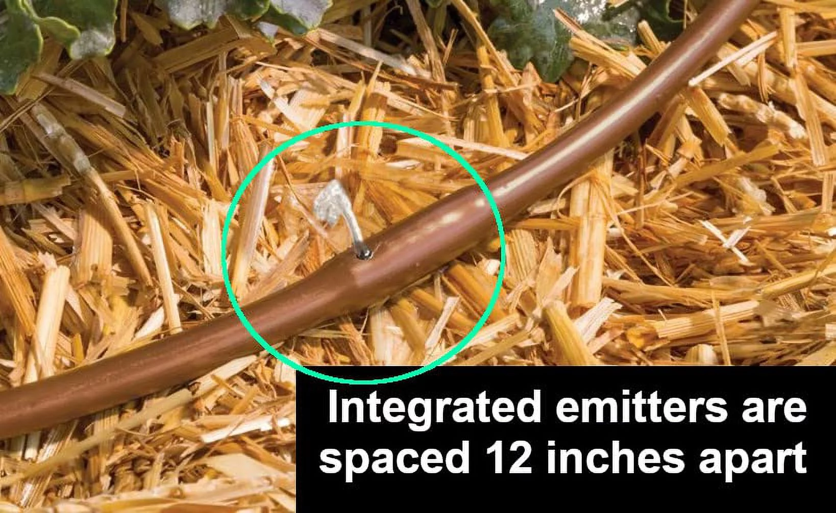 200 Feet Rain Drip Irrigation Pressure Compensating 1/4