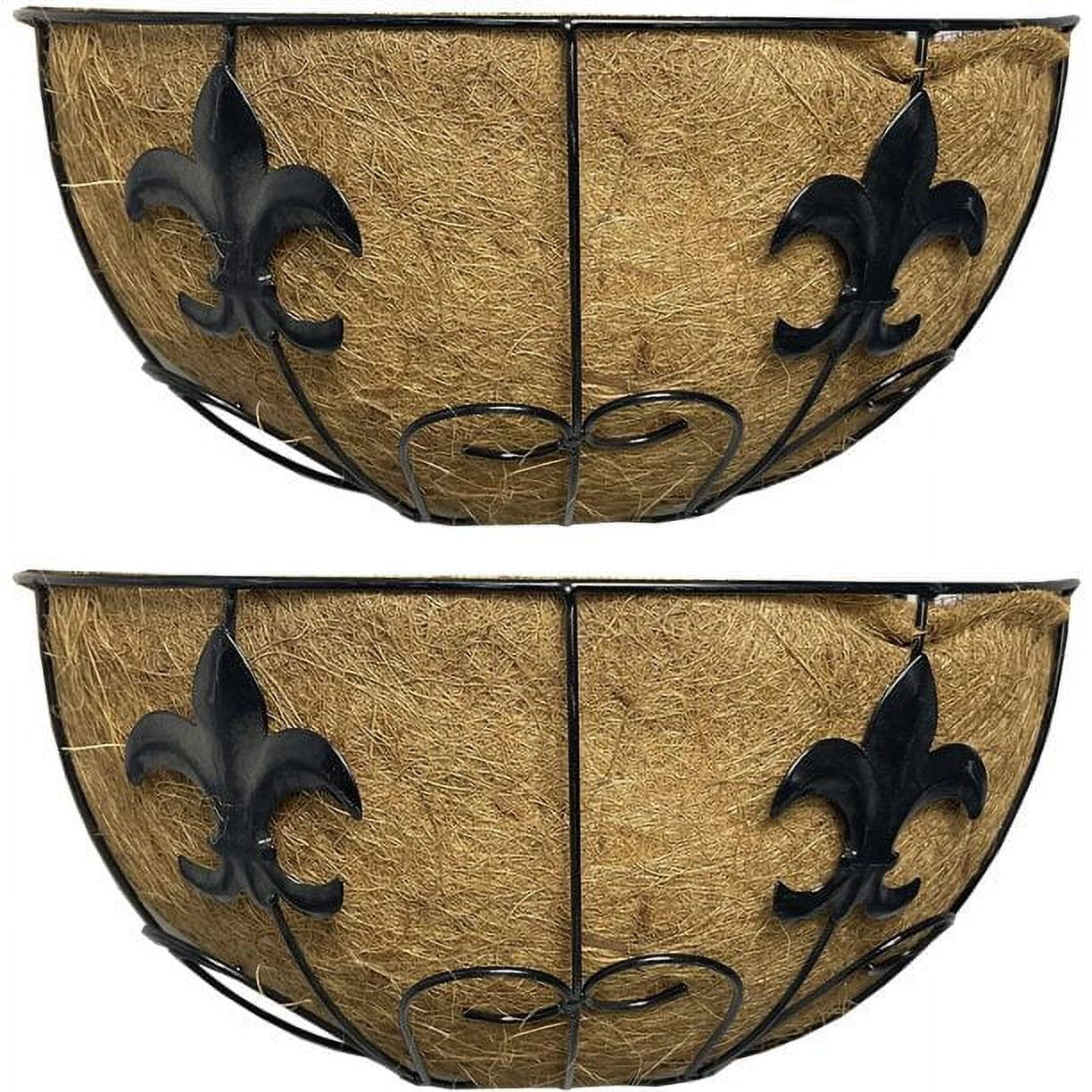 Ashman Wall/Rail Metal Plant Basket Hanging, Black Color Flower Planter Basket Ideal for Fences, Wall Mount 2 Pack.