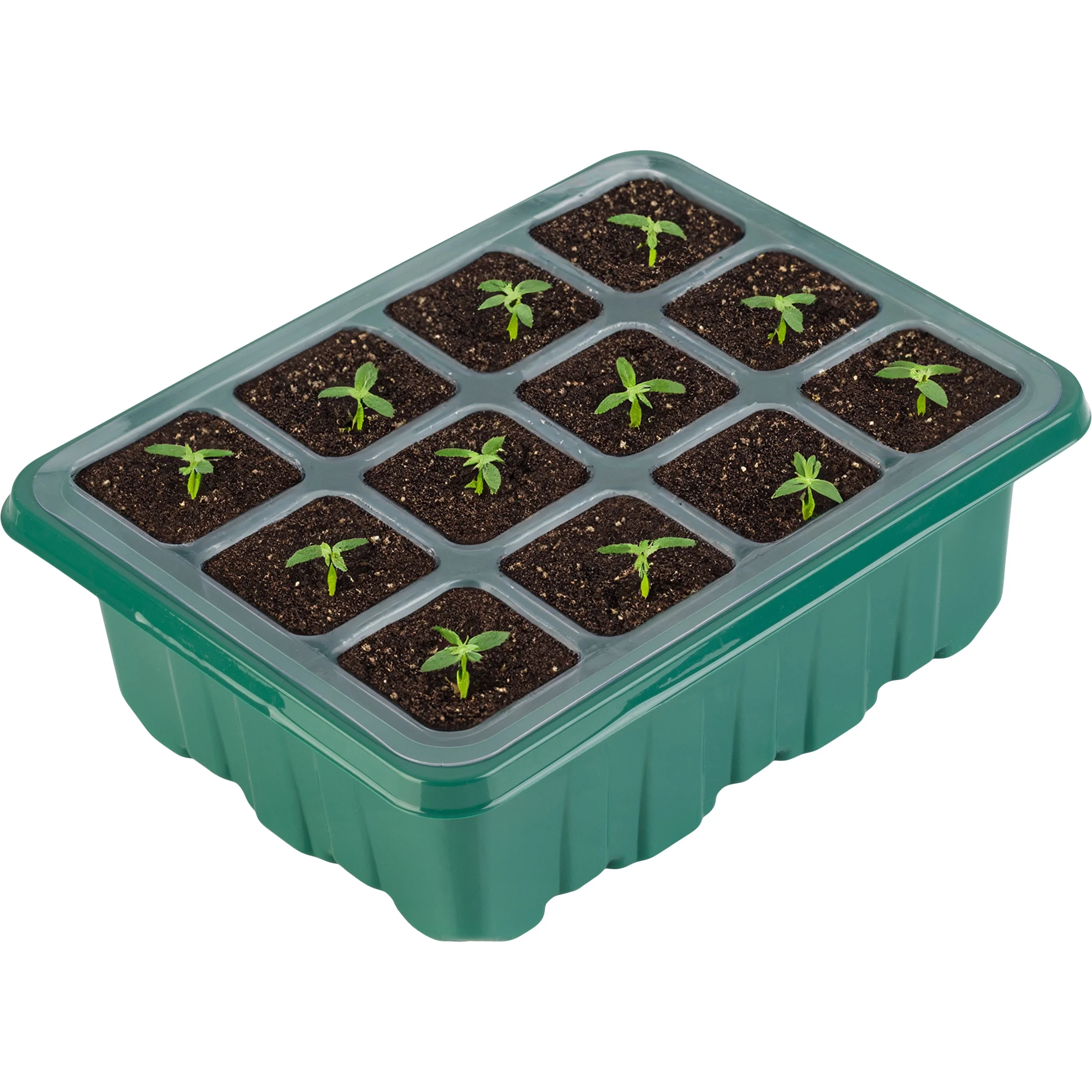 Home-Complete Seed Starter Tray 10-Pack - Plant Trays with Humidity Domes