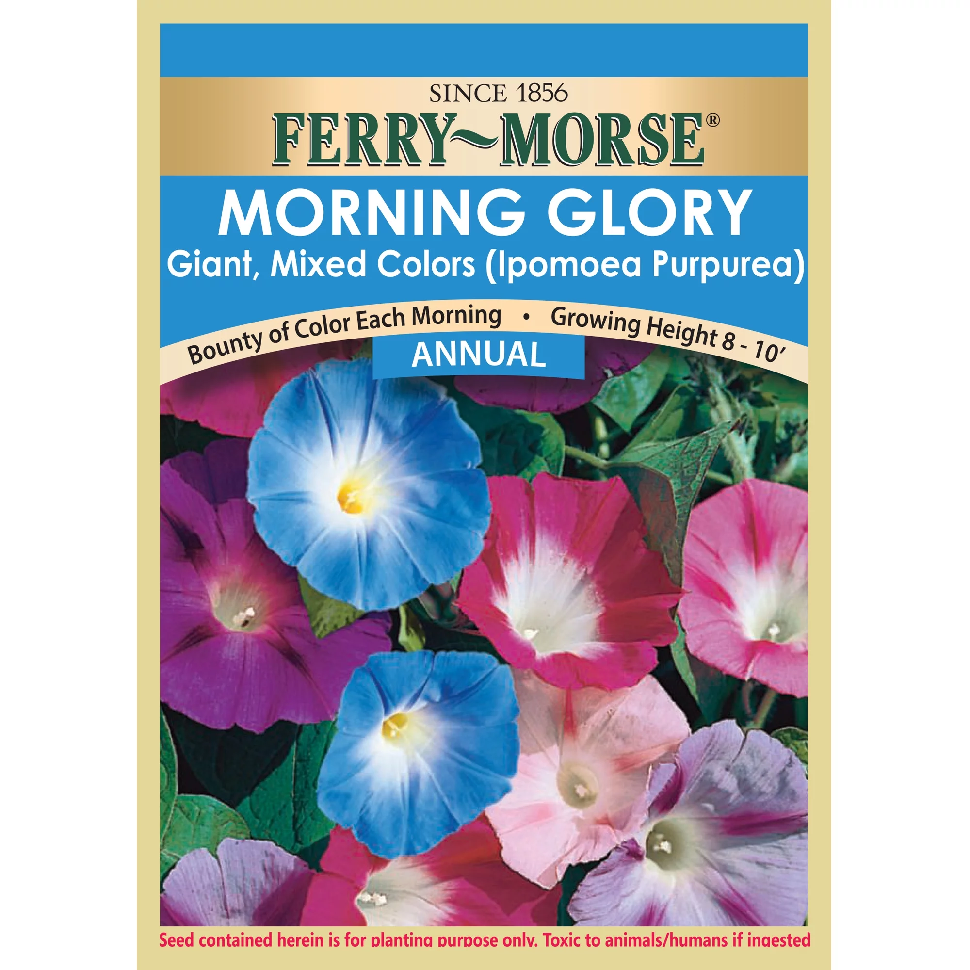 Ferry-Morse 1G Morning Glory Giant Mixed Colors Flower Annual Seeds, Full Sun