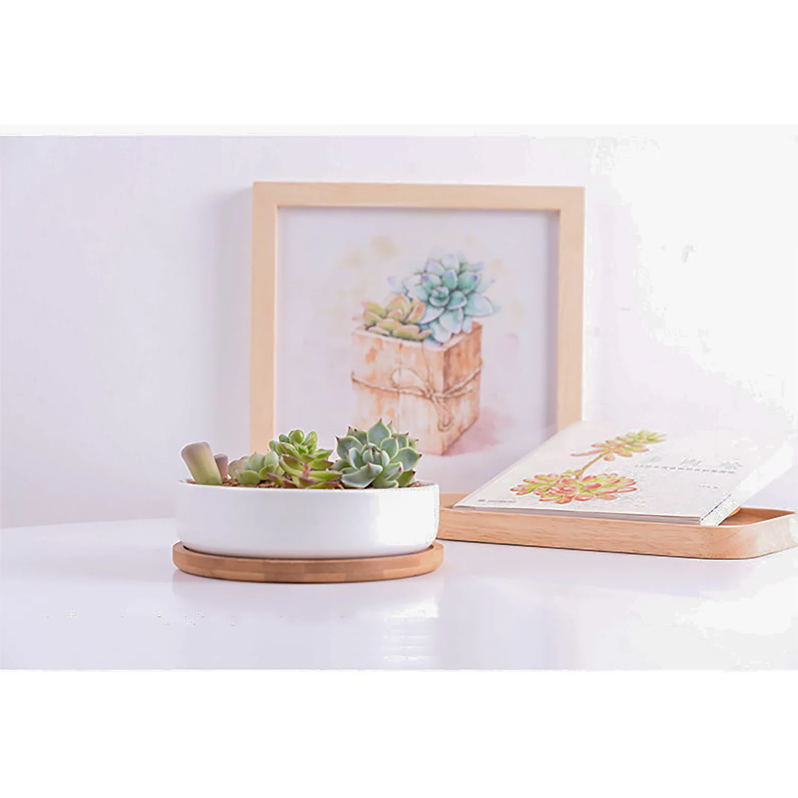 BELUPAI Environmentally Friendly Round Succulent Ceramic Flower Pot Bamboo Tray Creative Tabletop Tea Set Coaster
