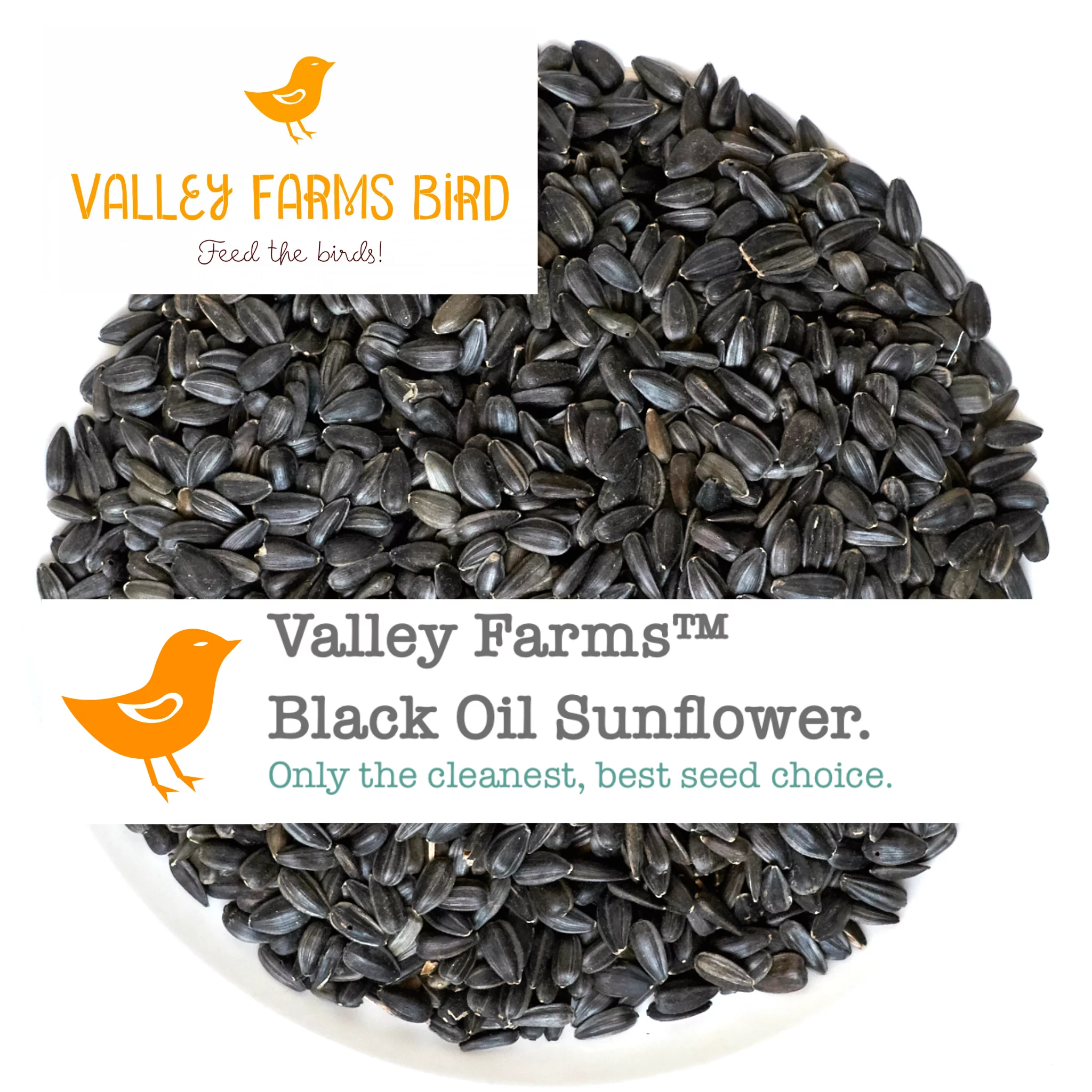 Valley Farms Black Oil Sunflower Seed Wild Bird Food