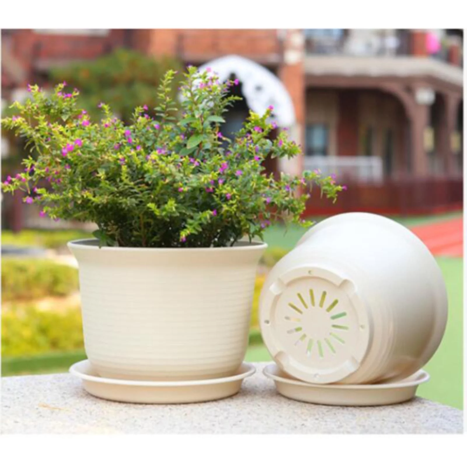 Bnnlsa Flower Pots 10Pcs Open Flowerpot Decor Bonsai Vegetations Pot Pots Decorative Gardening Pot Vegetationswith Saucer Succulent Window Box Decorative Flower Pots Flower Pot