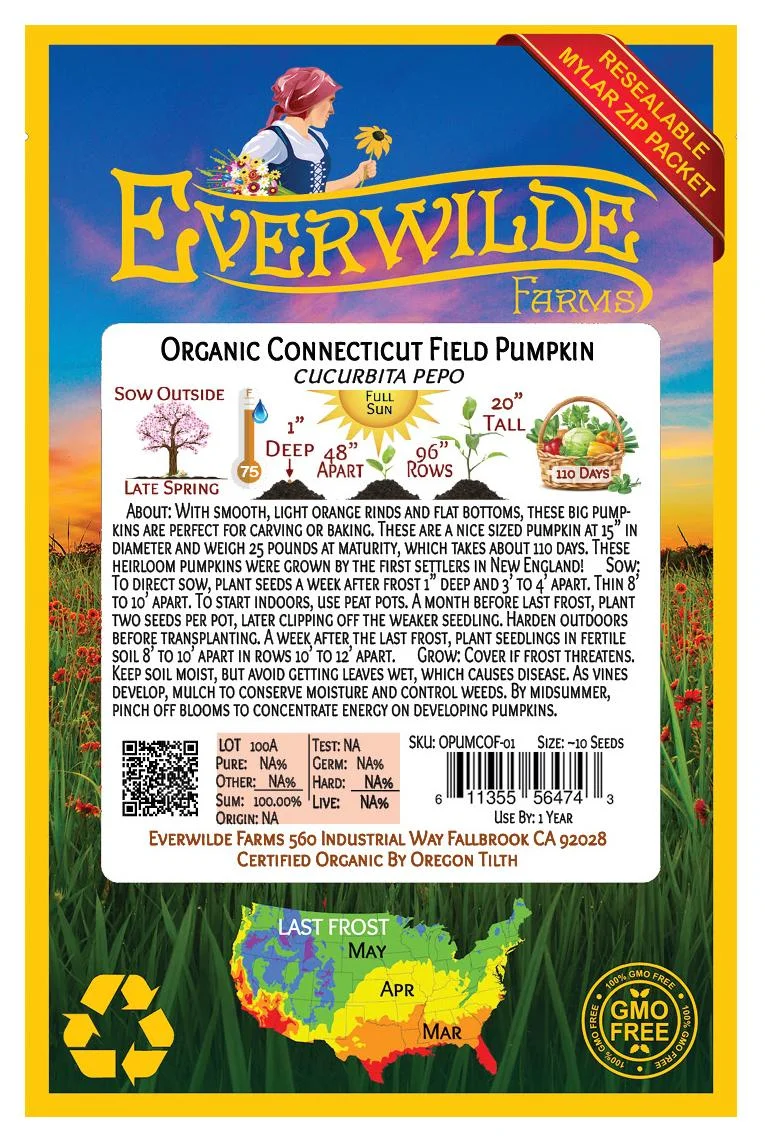 Everwilde Farms - 10 Organic Connecticut Field Pumpkin Seeds - Gold Vault Jumbo Bulk Seed Packet