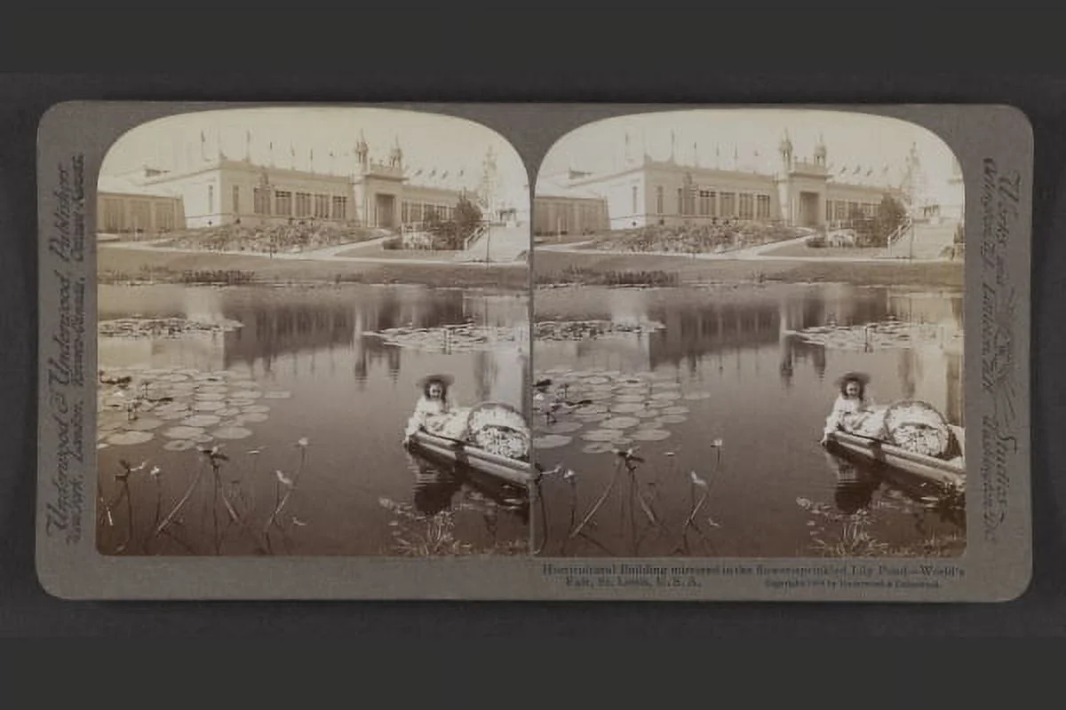 Print: Horticultural Building Mirrored In The Flower-Sprinkled Lily Pond