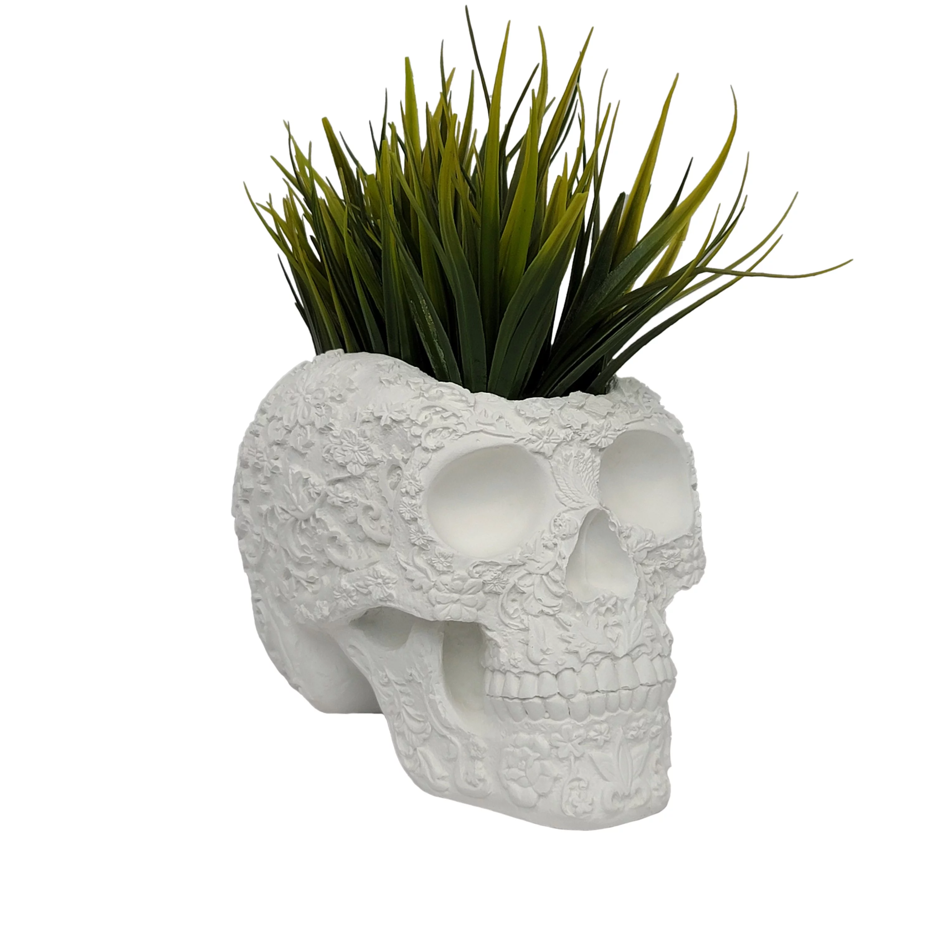 Coliseum Studio Skull Concrete Planter with Drainage - Handmade in The USA 7