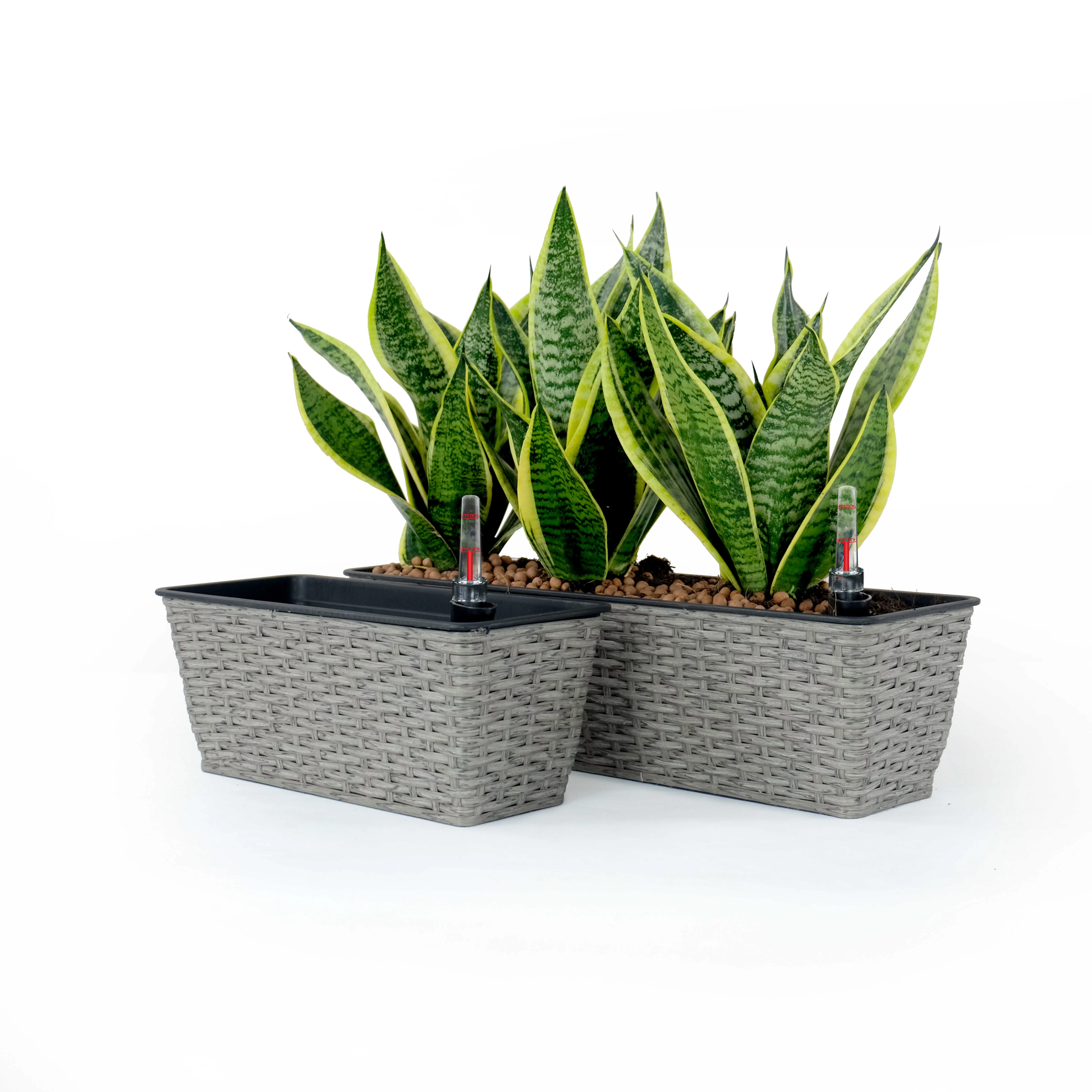 DTYStore DTY Signature Rectangular Wicker Planters Gray