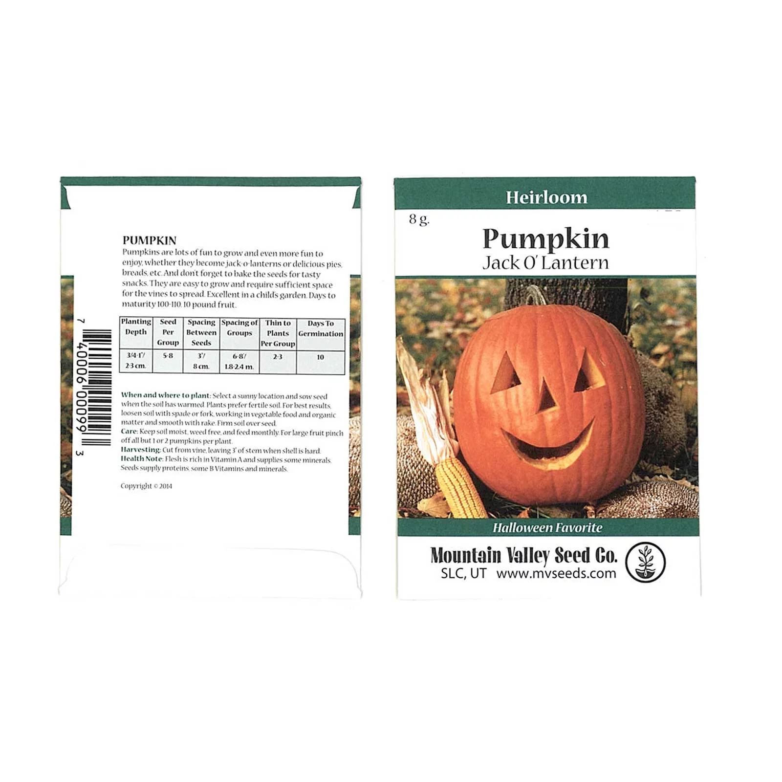 Pumpkin Garden Seeds - Jack O'Lantern Variety - 8 Gram Packet - Non-GMO, Heirloom Pumpkins - Orange - Vegetable Gardening Seeds