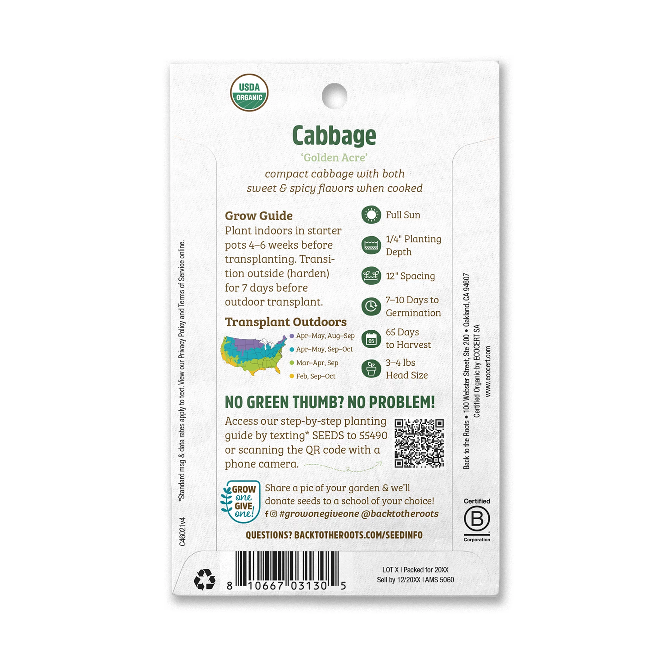 Back to the Roots Organic Golden Acre Cabbage Seeds, 1 Seed Packet
