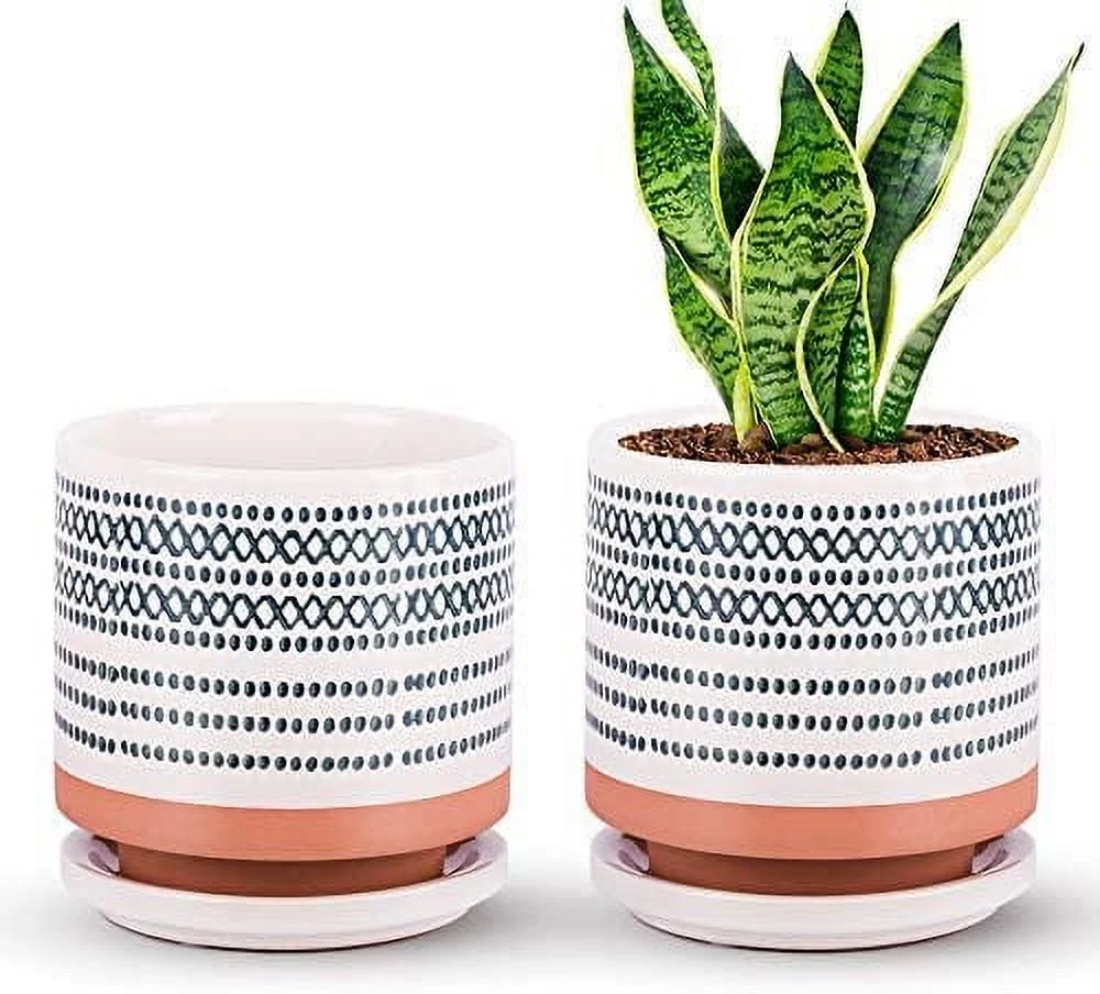 Succulent Pots, 5 Inch Ceramic Planter Plant Pot with Porcelain Saucer, Drainage Hole for Snake Plants, Jade Plant, Herbs, Set of 2
