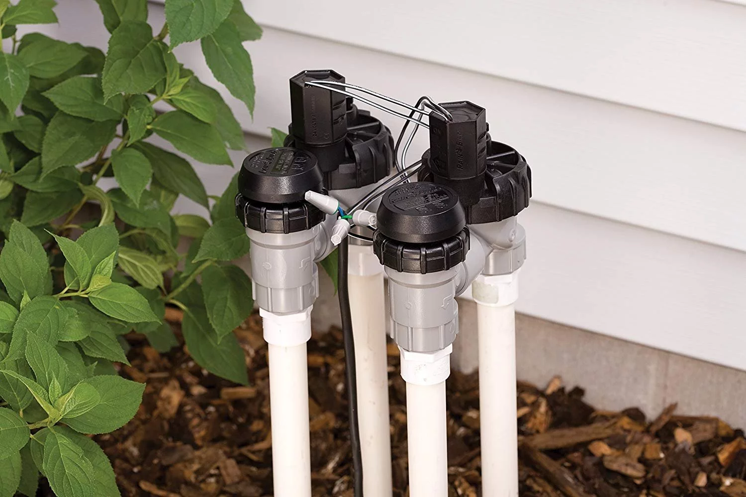 Rain Bird DASASVF100 Professional Grade Anti-Siphon Valve with Flow Control, 1