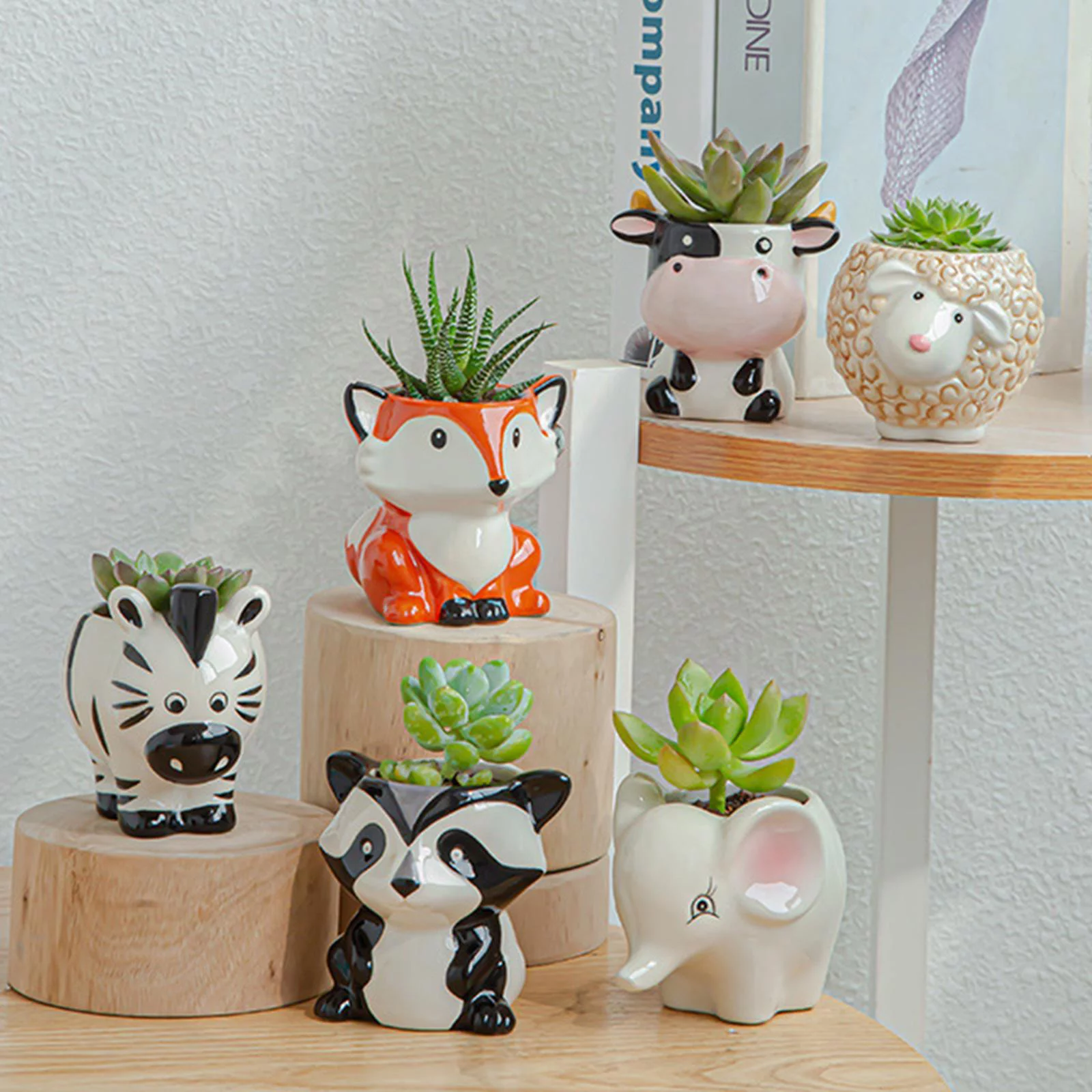 kesoto 5-6pack Cartoon Plant Succulent Planter Desk Flower Pot 8x7x7.5cm 5 Pcs