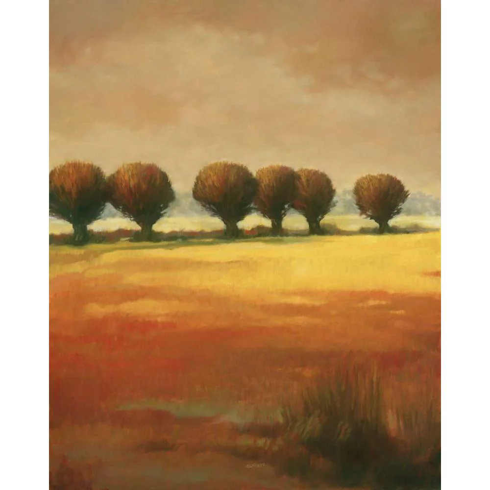 Reynolds, Graham 12x14 Black Modern Framed Museum Art Print Titled - Pollard Willow I