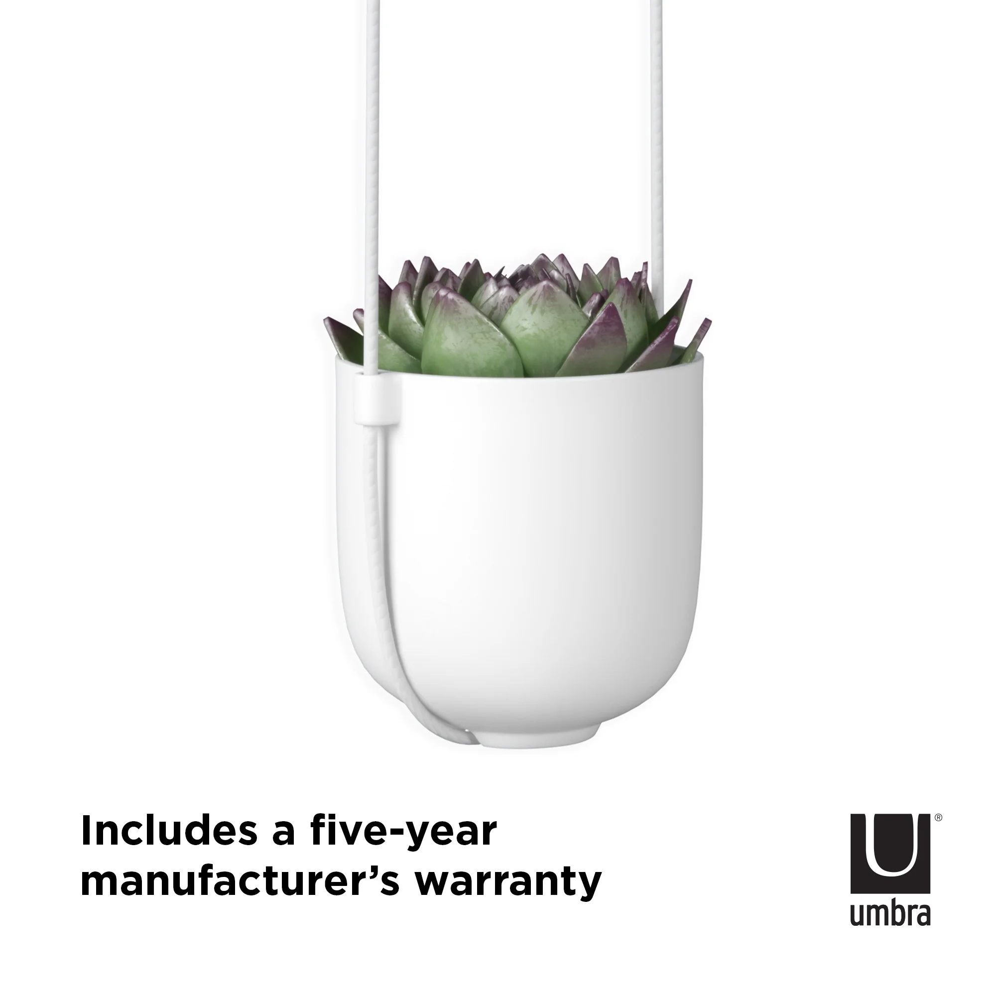 Umbra Bolo Ceramic Hanging Wall Planter White