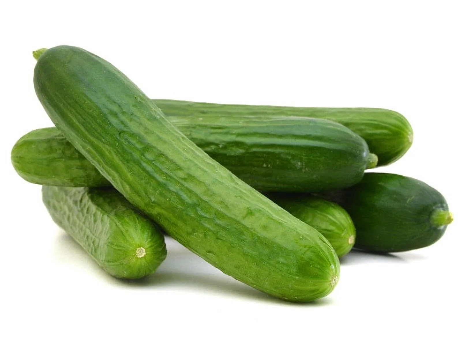 Garden Sweet Burpless Cucumber Heirloom Premium Seed Packet