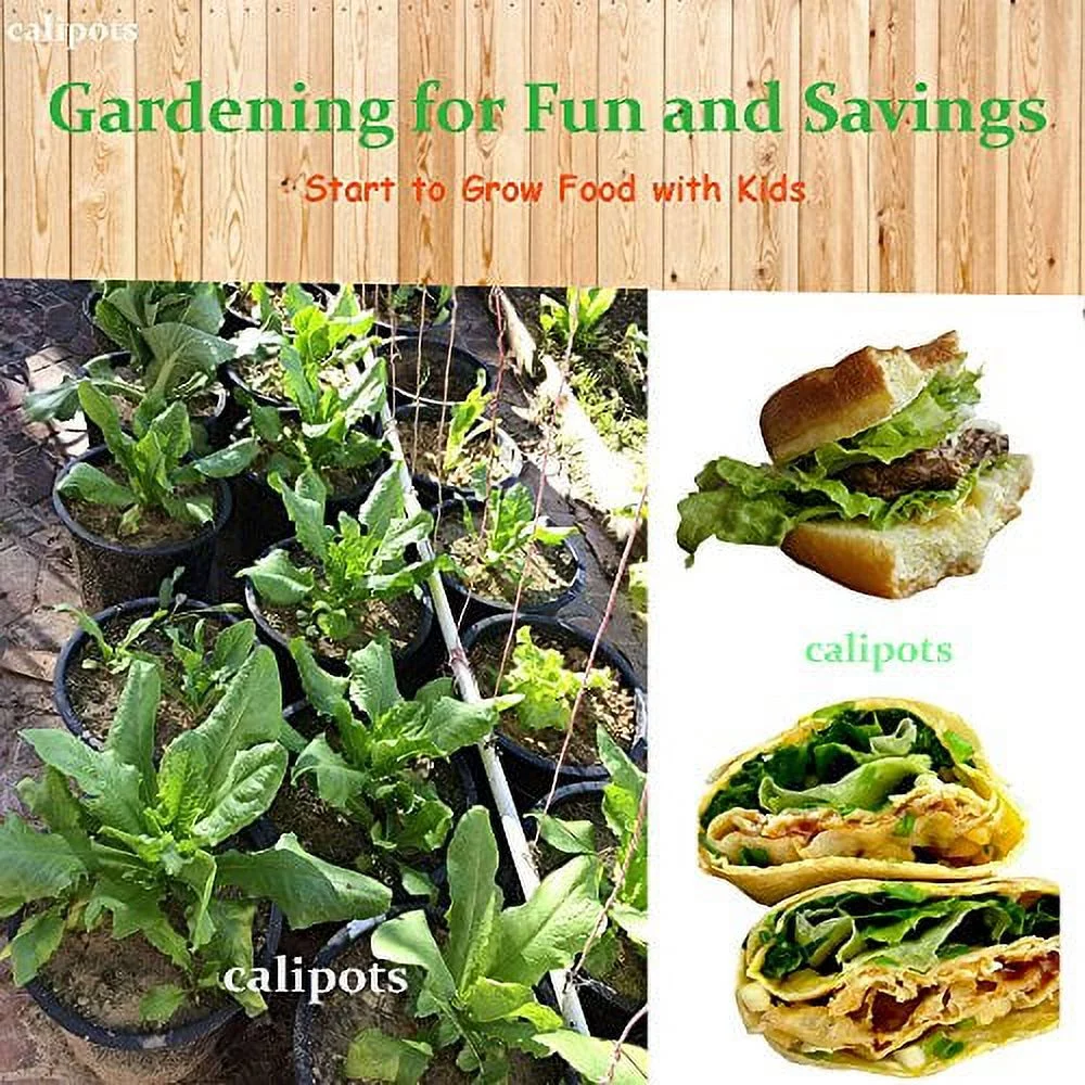 5 Gallon  Black Plastic Nursery Plant Container Garden Planter Pots (5 Gallon)