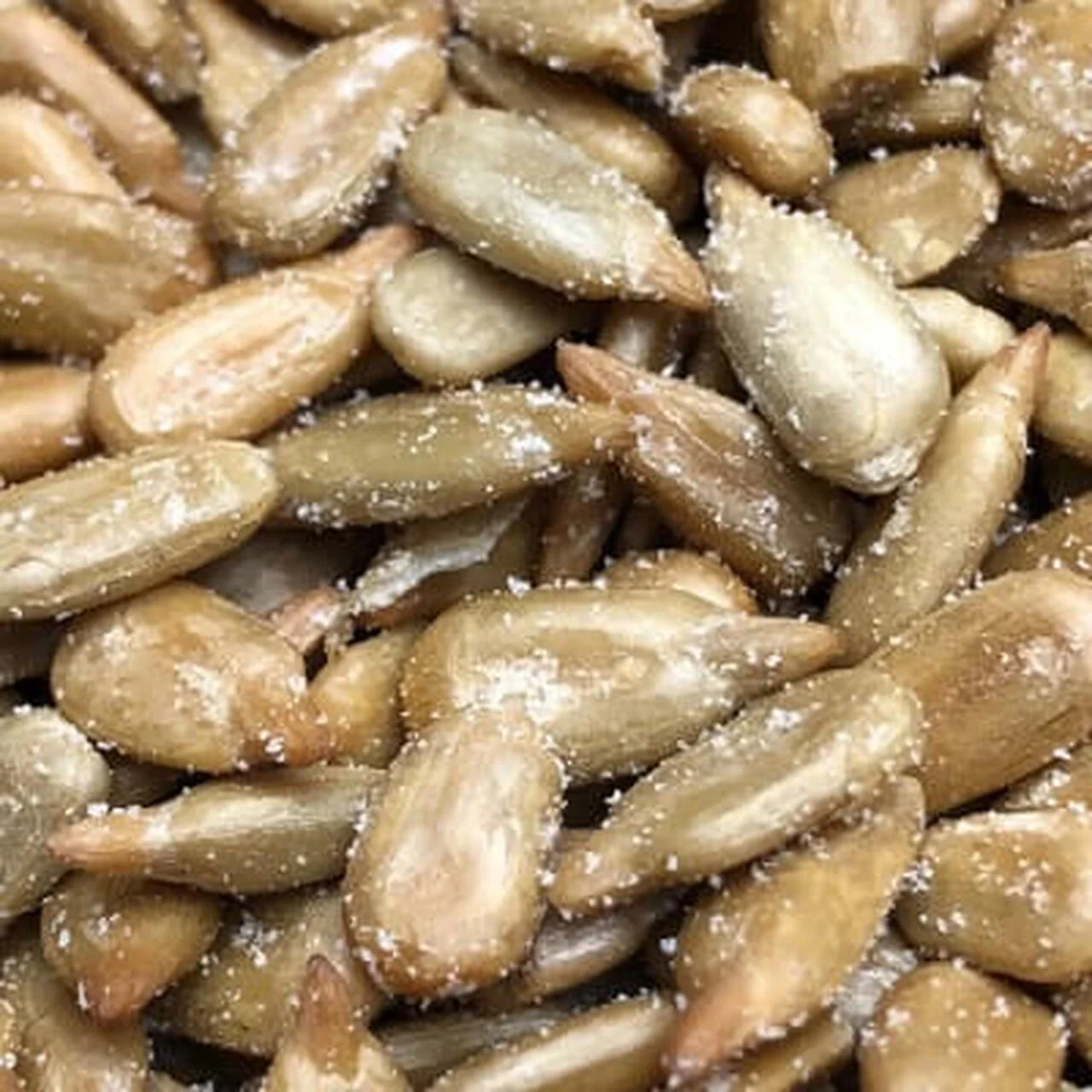 Bulk Roasted and Salted Sunflower Seeds 25 Pound Wholesale Box