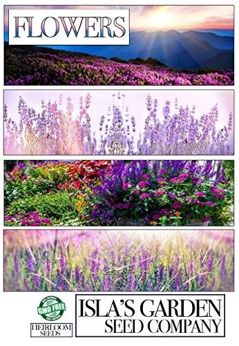 Shirley Single Mix Poppy Flower Seeds, 3000 Heirloom Flower Seeds Per Packet, Non GMO Seeds