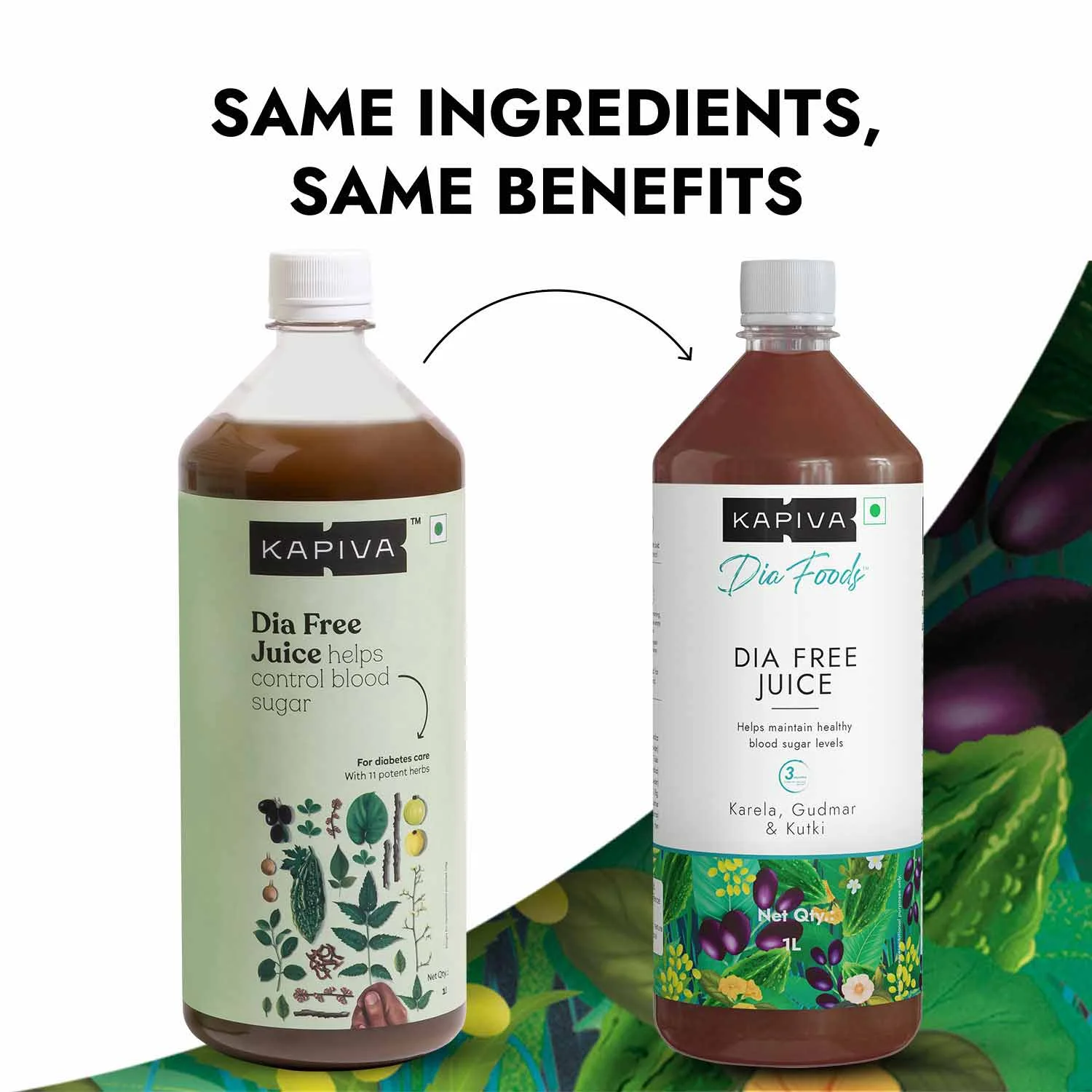 Kapiva Dia Free Juice -(2L) | For Holistic Diabetes Care | Amla, Karela, Jamun, Guduchi & 7 More - Super Saver Pack of 2
