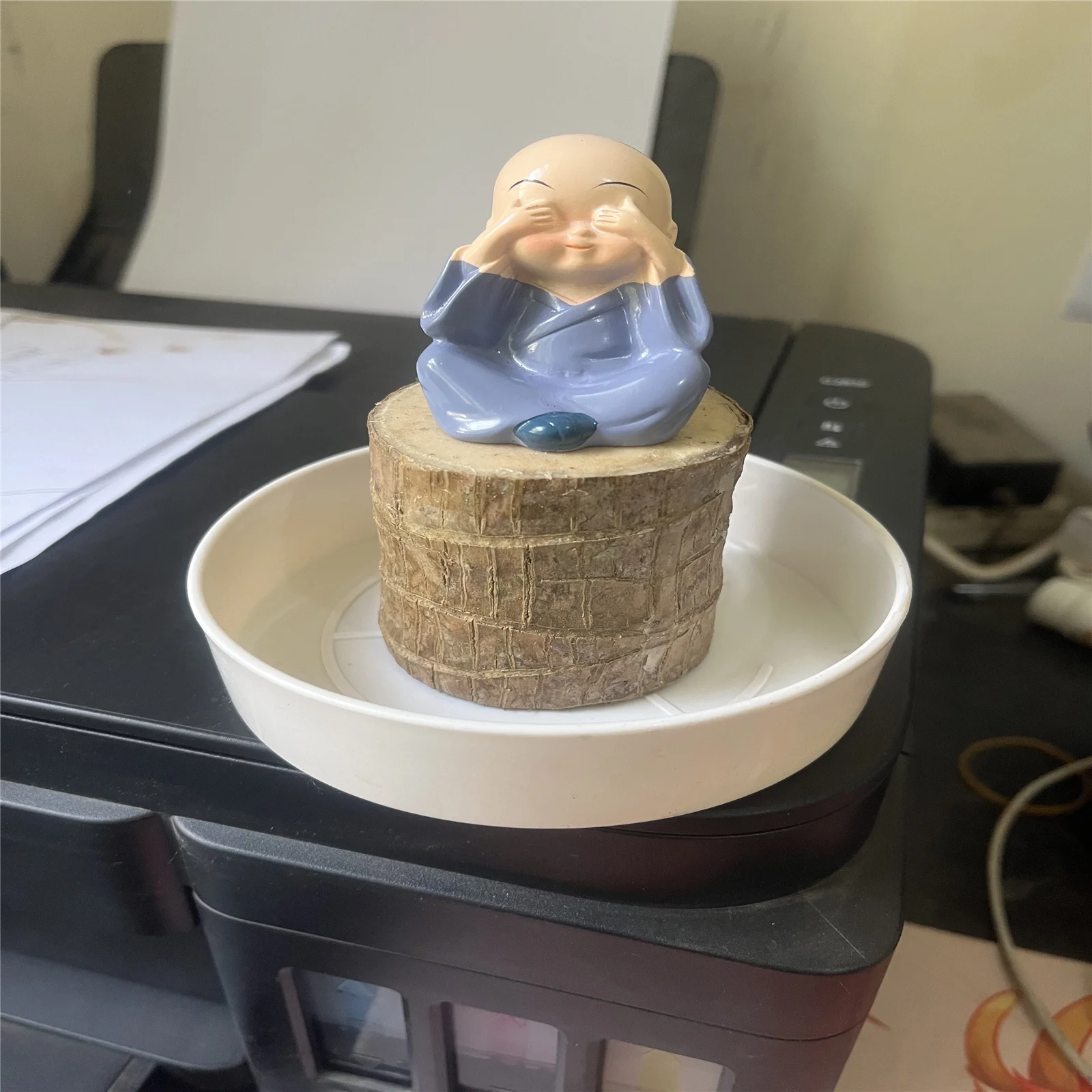 Brazilian Wood,Brazilian Wood Plant,Large Brazilian Wood Plant,Home Decoration,Brazilian Lucky Wood Plant Pot,Brazilian Wood For Sale(Brazilian Wood/Doll And Tray/Potted Plant)