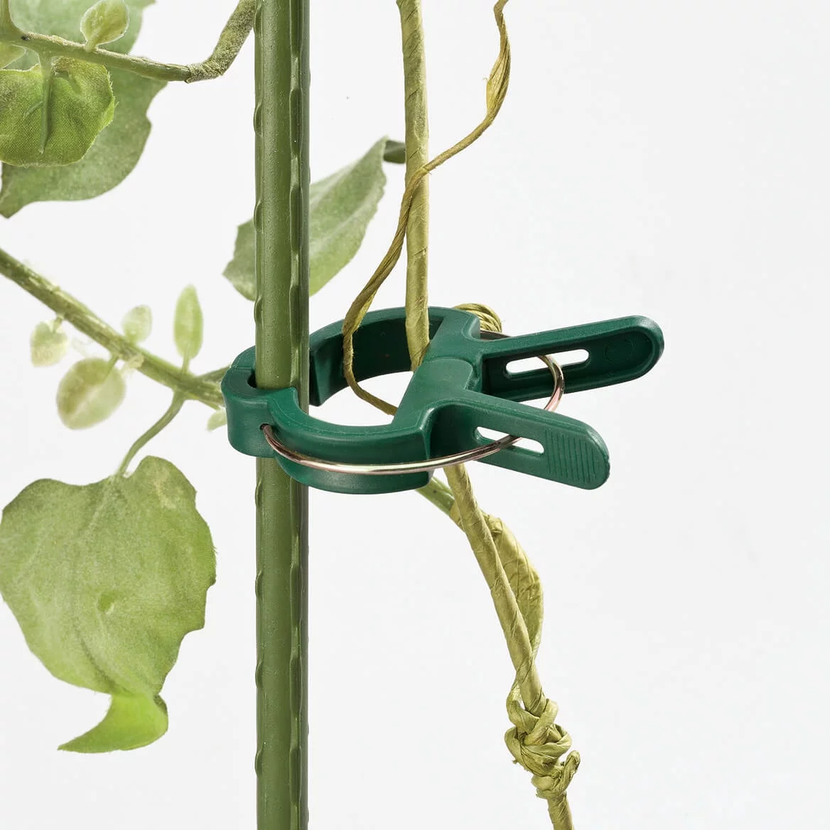 Plant Gripper Clips, Set of 40