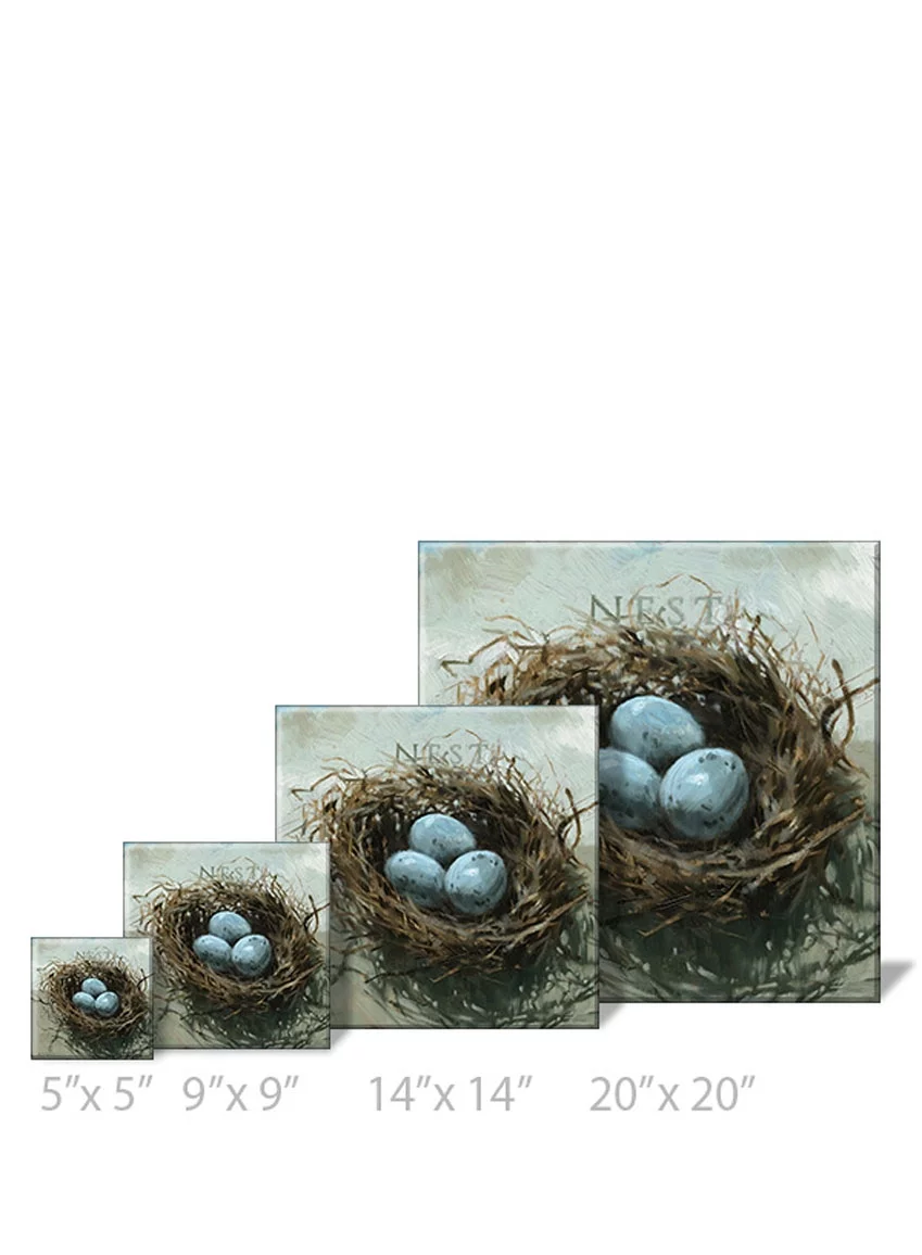 Sullivans Darren Gygi Nest Canvas, Museum Quality Giclee Print, Gallery Wrapped, Handcrafted in USA 9