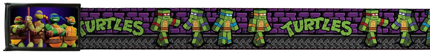 TMNT Cartoon TV Series Turtle Faces Color Splash Web Belt