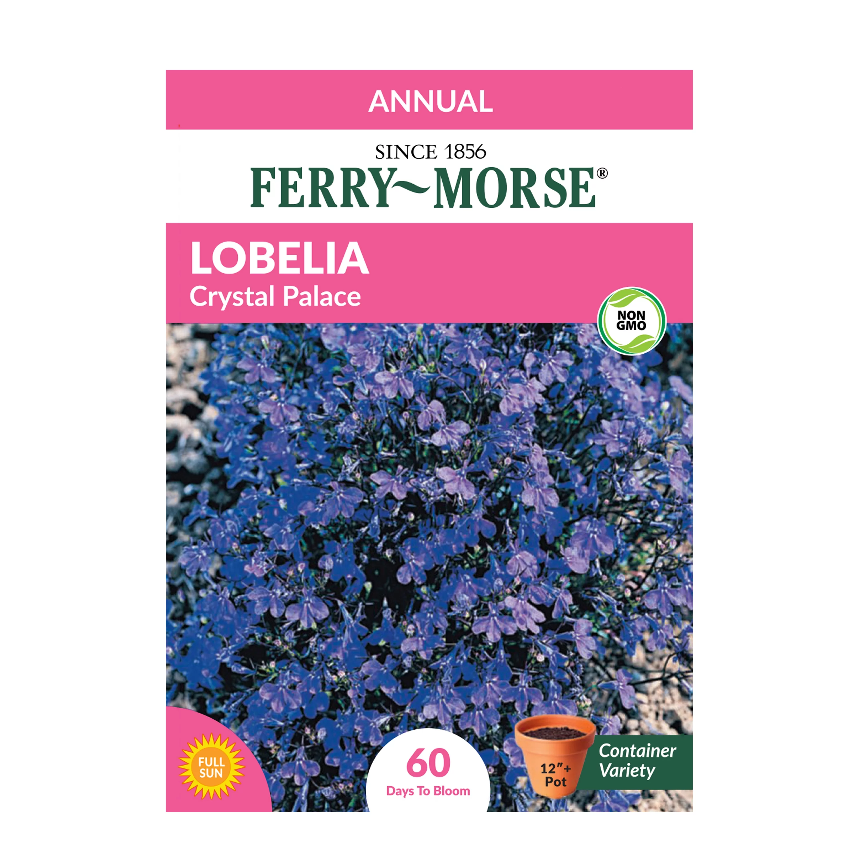 Ferry-Morse 1G Lobelia Crystal Palace Annual Flower Seeds Full Sun