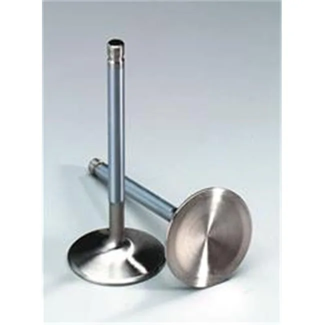 Extreme Duty Series Stainless Steel Valves