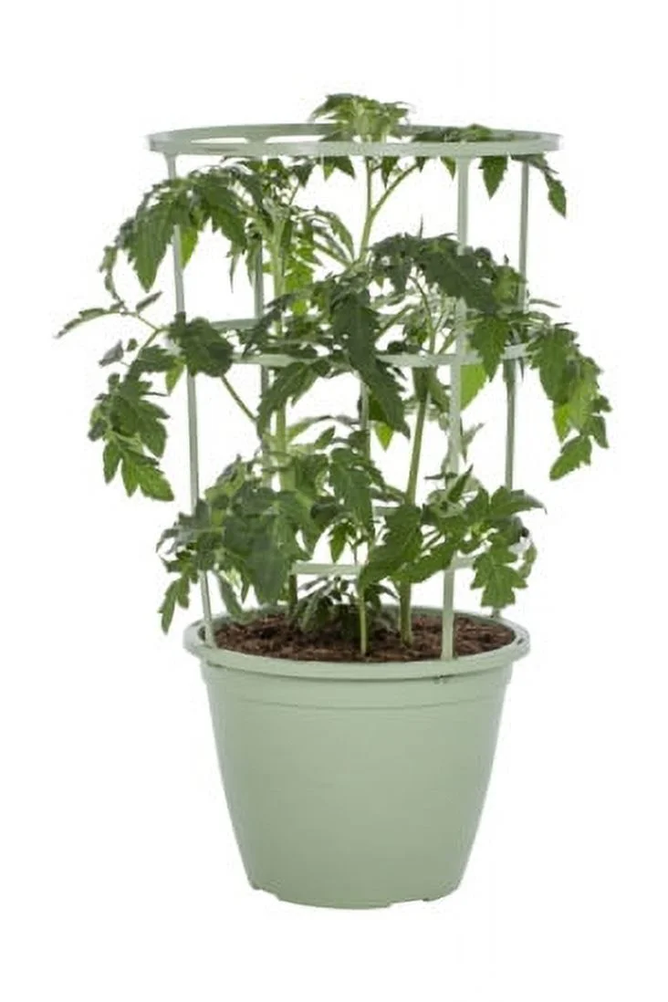 Expert Gardener 2.25 Gal Tomato with Decorative Pot Support Cage Sun
