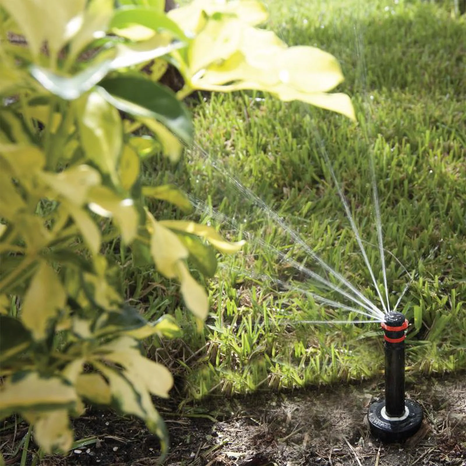 K-Rain 30653 Pro-S Adjustable Pop-Up Spray Head, 6