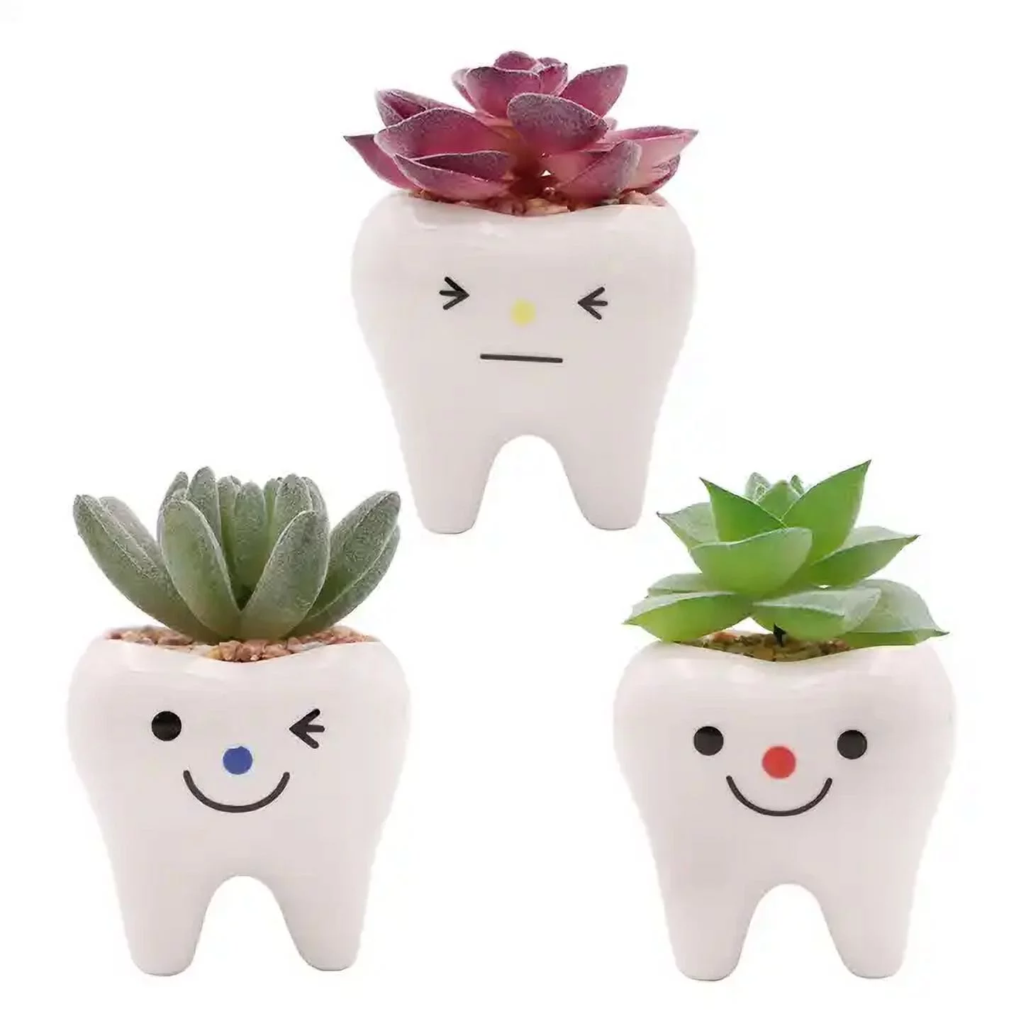 CZ Grain 3 Pots | 3 Inch | Small Succulent Ceramic Teeth Pots, Cute Home and Office Decor