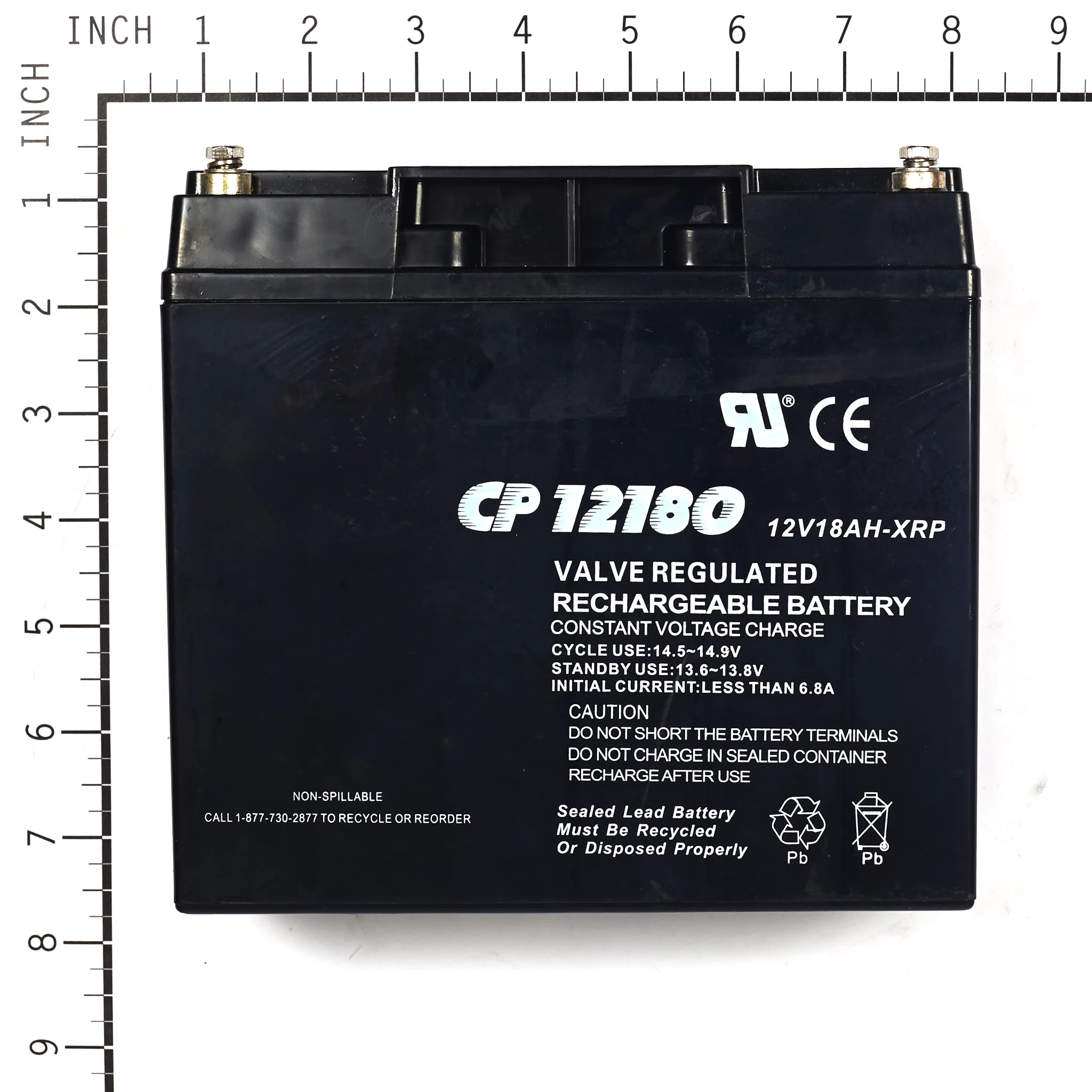 Briggs and Stratton 193463GS Battery