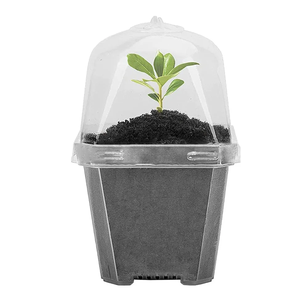 10 Pcs Plant Nursery Pots with Humidity Dome Small Plastic Square Flower Pot