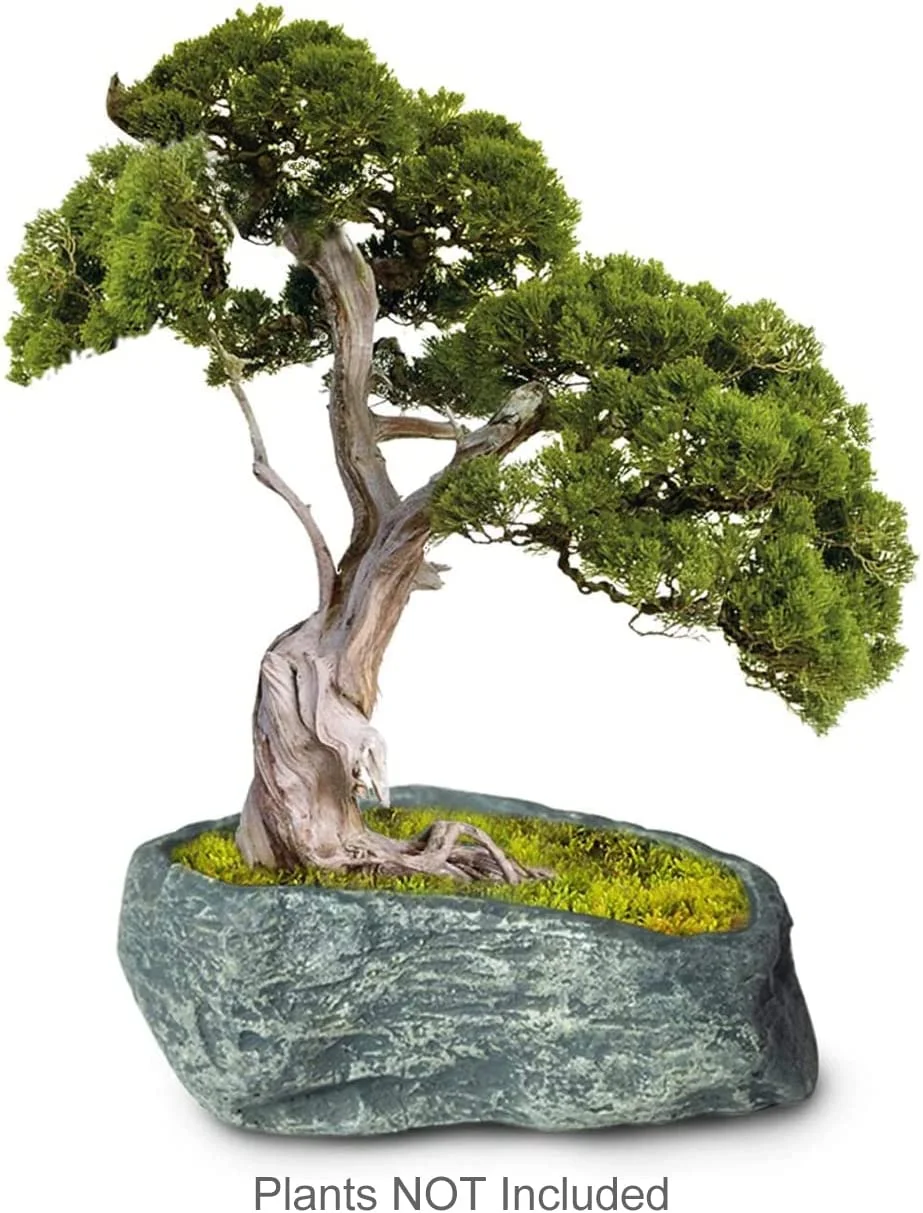 Stone Like Handmade Concrete Succulent Planter/Plant Pot/Flower Pot/Bonsai Pot, 4