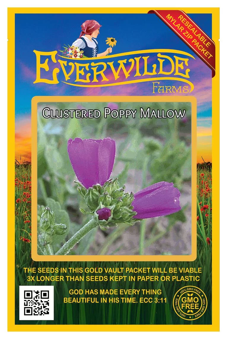 Everwilde Farms - 25 Clustered Poppy Mallow Native Wildflower Seeds - Gold Vault Jumbo Bulk Seed Packet
