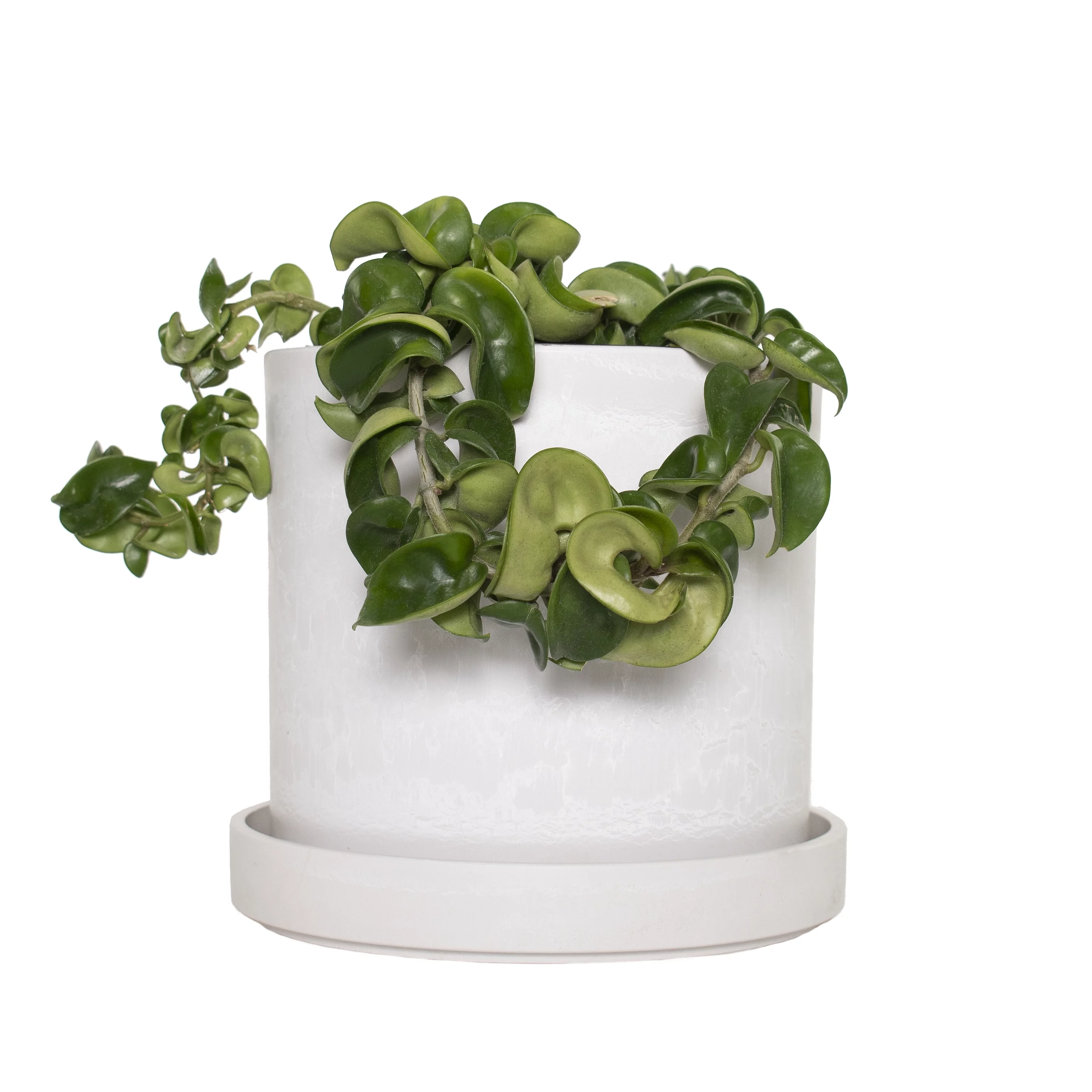 Plant with Purpose 7 in. Stonewash Upcycled Planter - 1 Piece