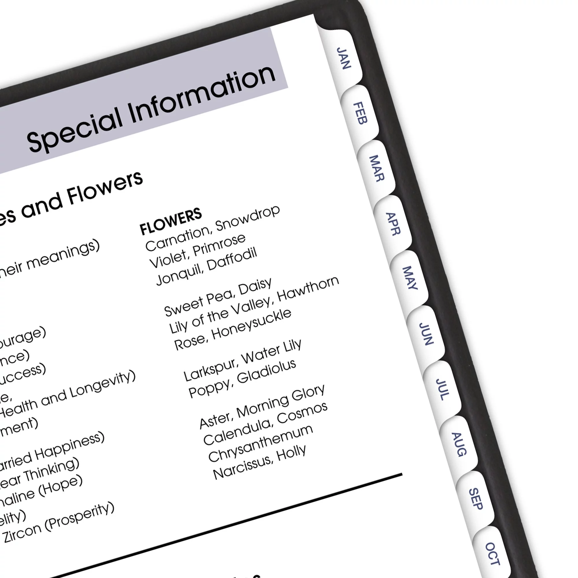 AT-A-GLANCE DayMinder 2024 Monthly Planner Hardcover Black Large 8 x 11 34 -